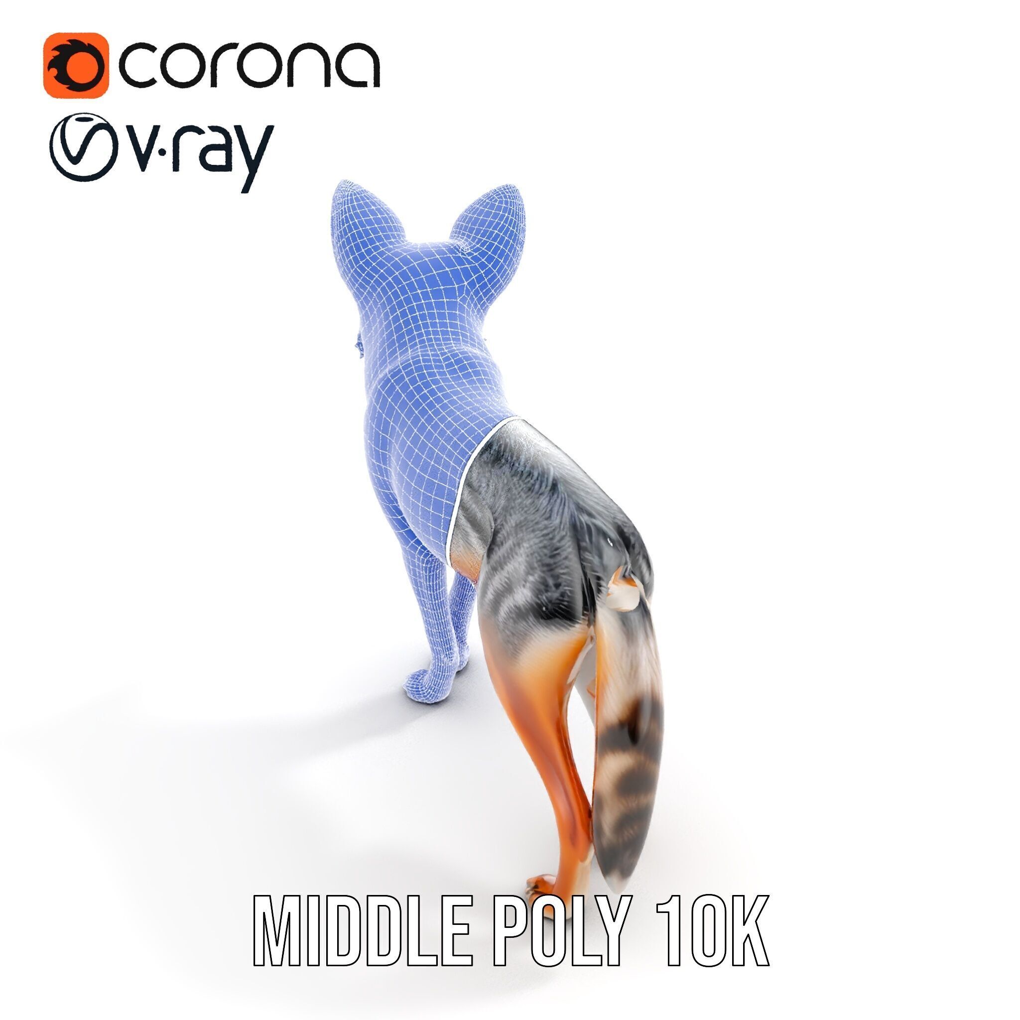 Fox Model Pack  Realistic D Animal Character Low-poly 3D model_26