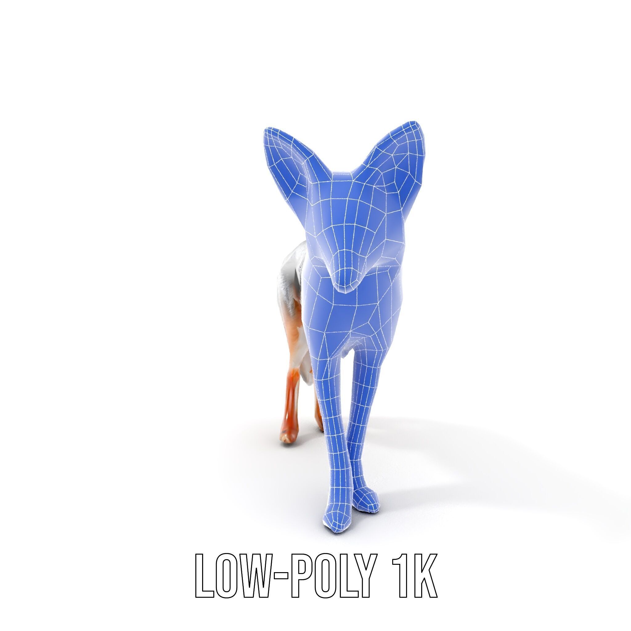 Fox Model Pack  Realistic D Animal Character Low-poly 3D model_14