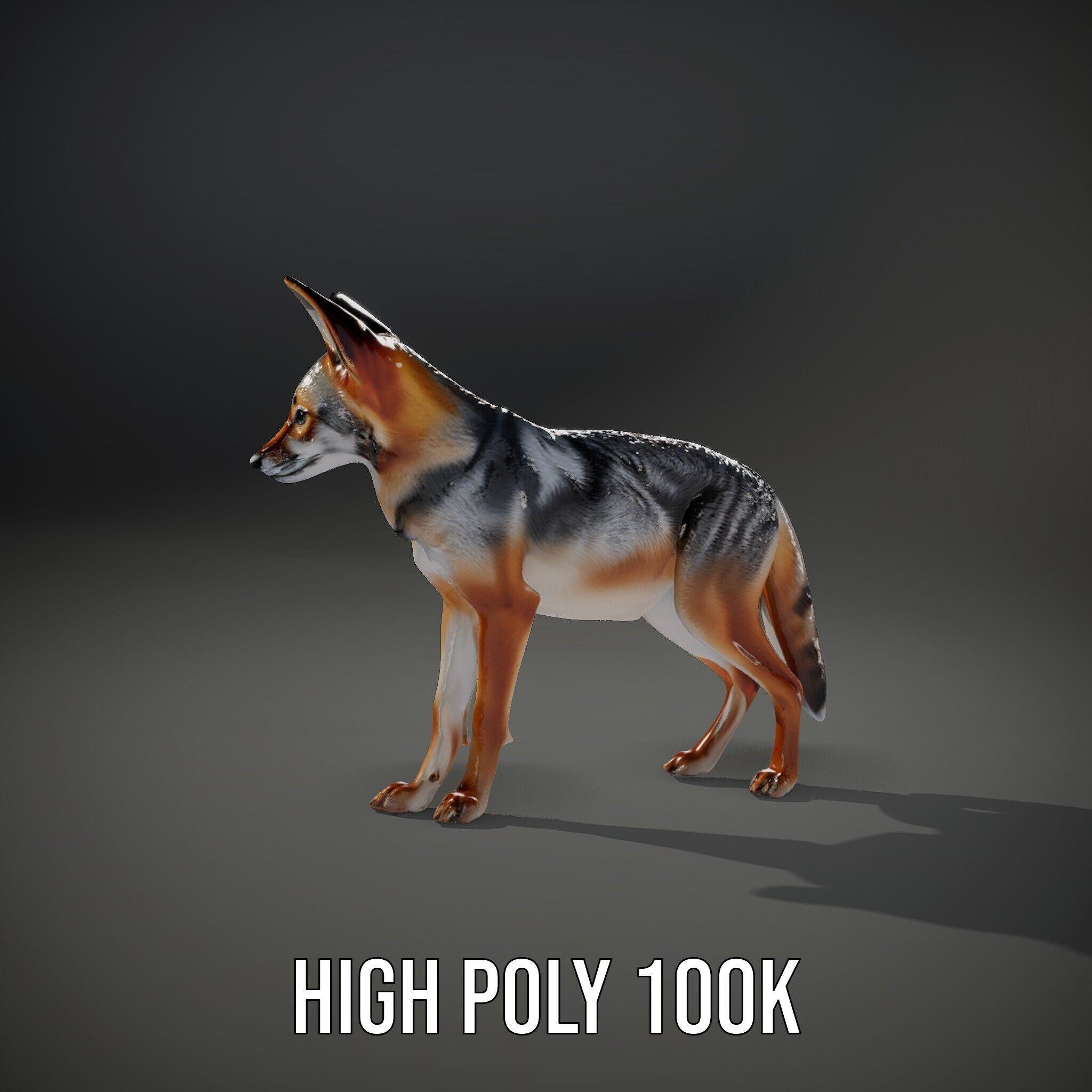 Fox Model Pack  Realistic D Animal Character Low-poly 3D model_15