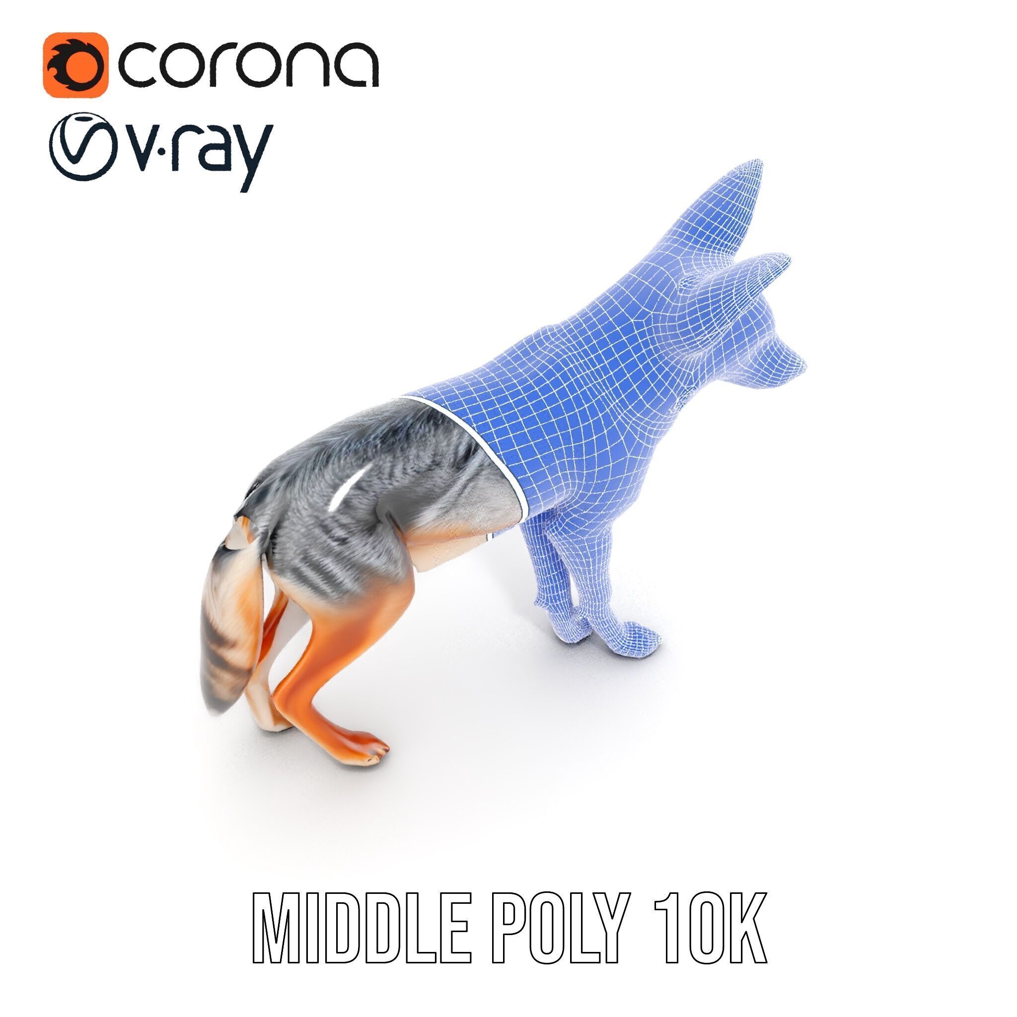 Fox Model Pack  Realistic D Animal Character Low-poly 3D model_28