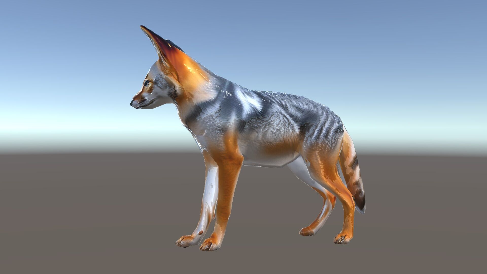 Fox Model Pack  Realistic D Animal Character Low-poly 3D model_35