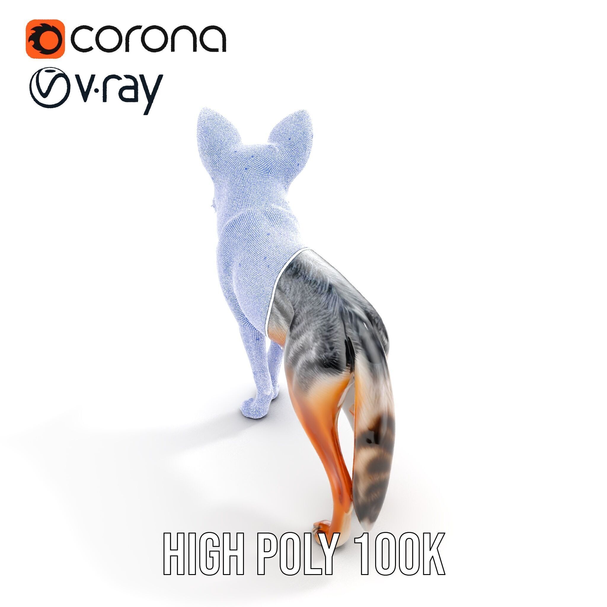 Fox Model Pack  Realistic D Animal Character Low-poly 3D model_25
