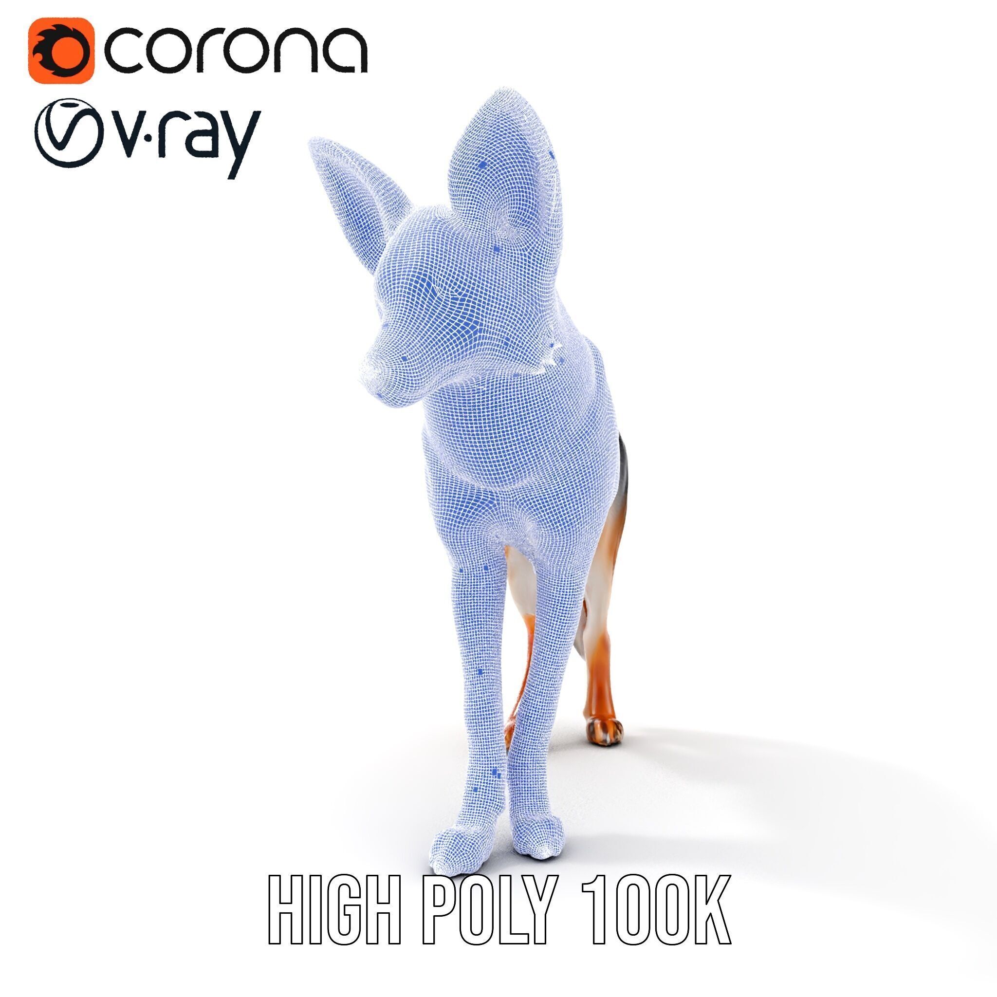 Fox Model Pack  Realistic D Animal Character Low-poly 3D model_37