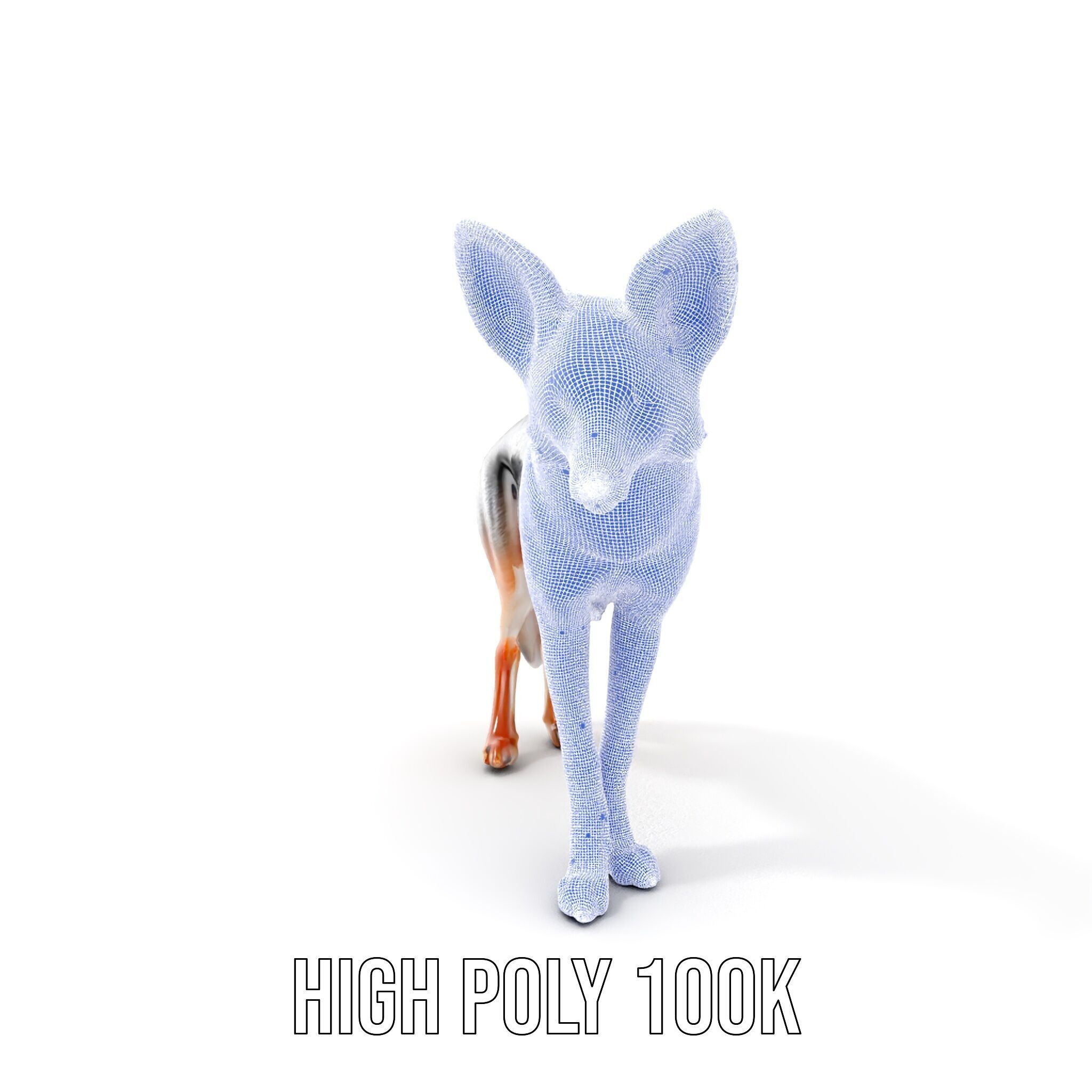 Fox Model Pack  Realistic D Animal Character Low-poly 3D model_5