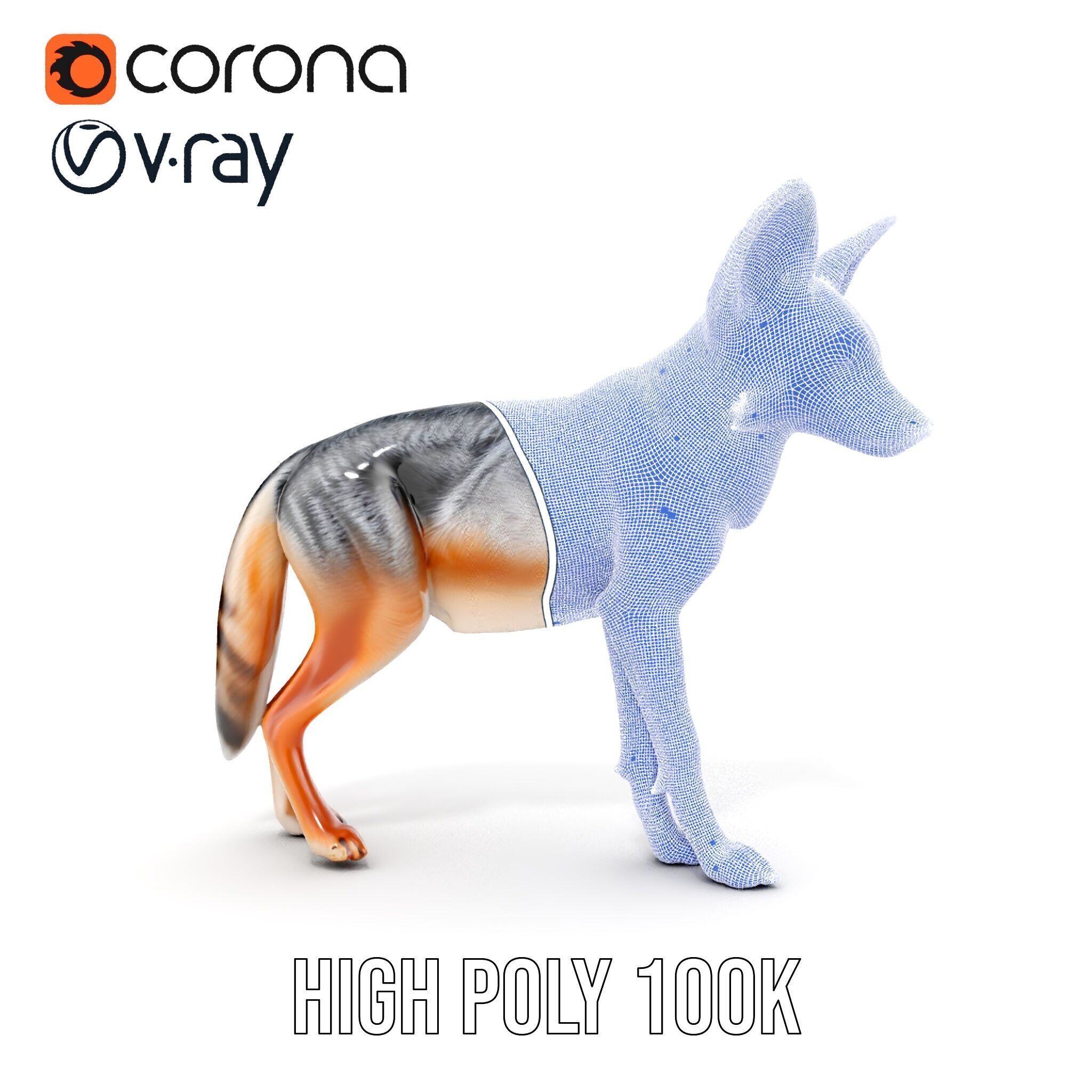 Fox Model Pack  Realistic D Animal Character Low-poly 3D model_39