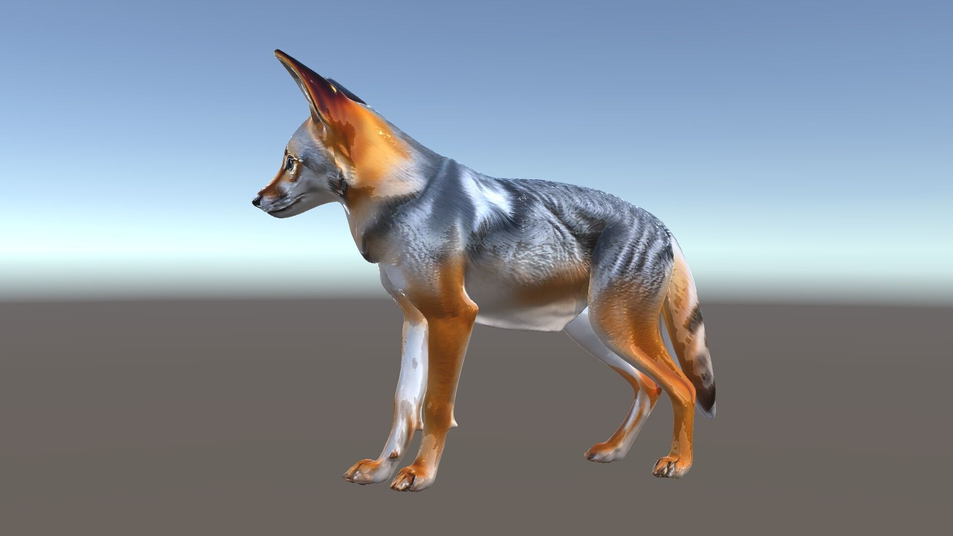 Fox Model Pack  Realistic D Animal Character Low-poly 3D model_6