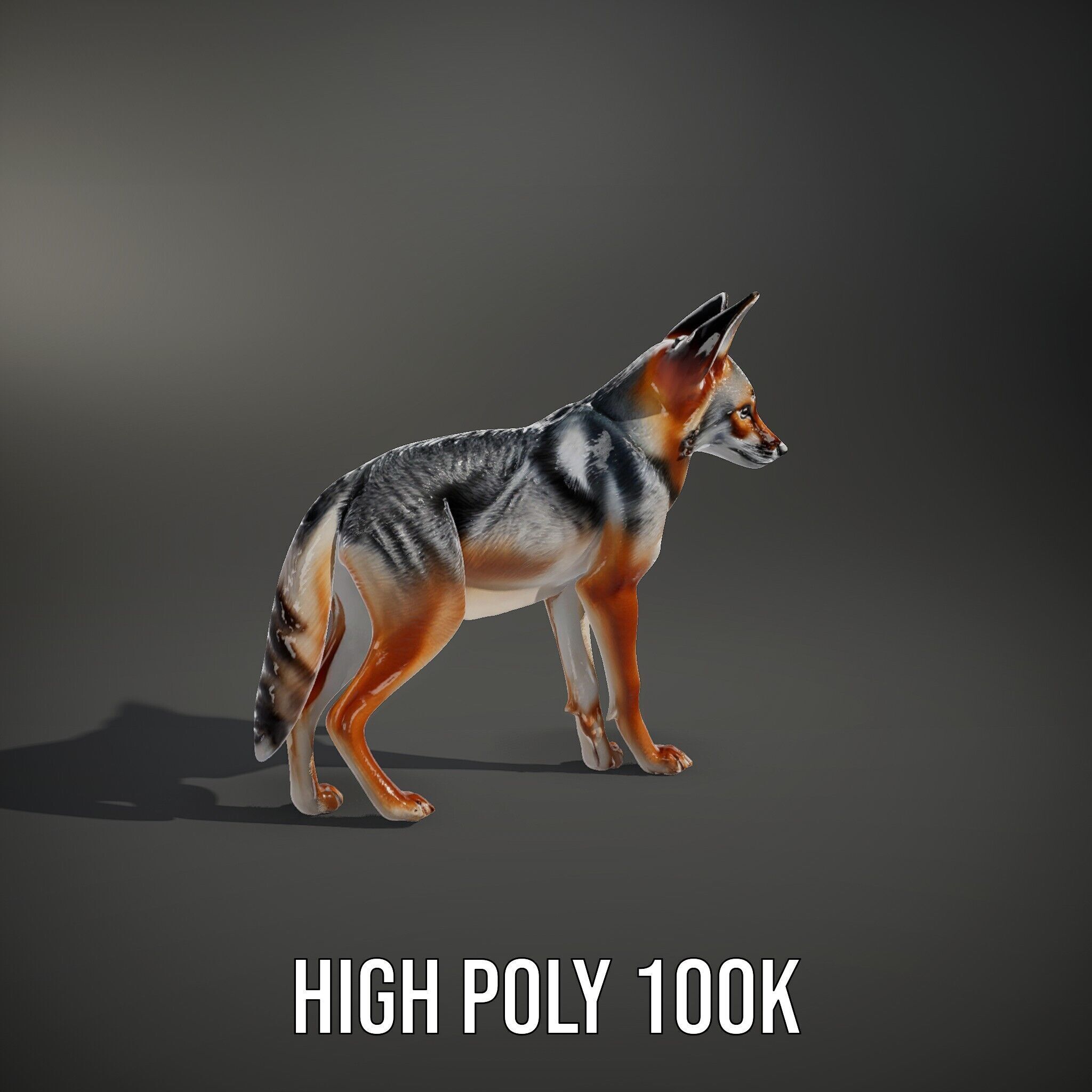 Fox Model Pack  Realistic D Animal Character Low-poly 3D model_12