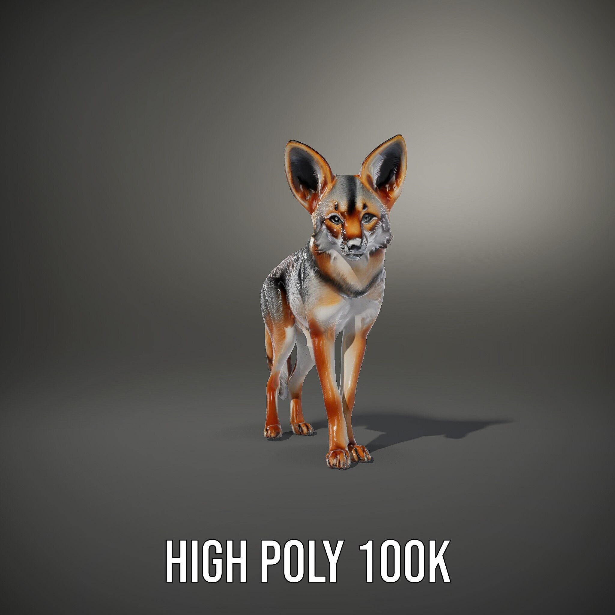 Fox Model Pack  Realistic D Animal Character Low-poly 3D model_9