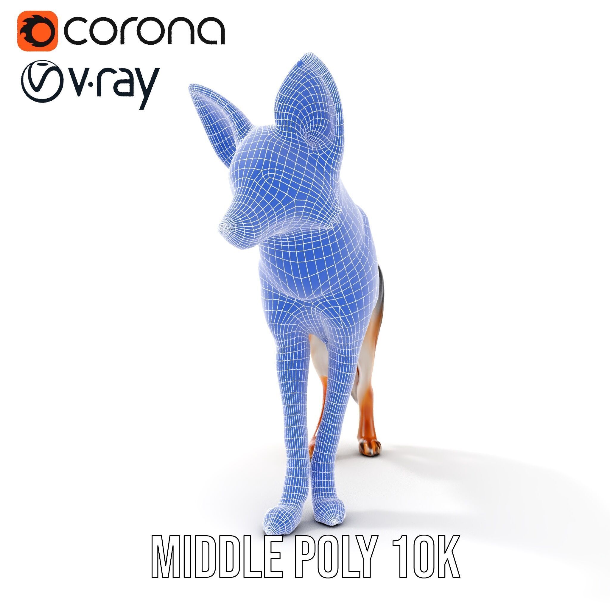 Fox Model Pack  Realistic D Animal Character Low-poly 3D model_23
