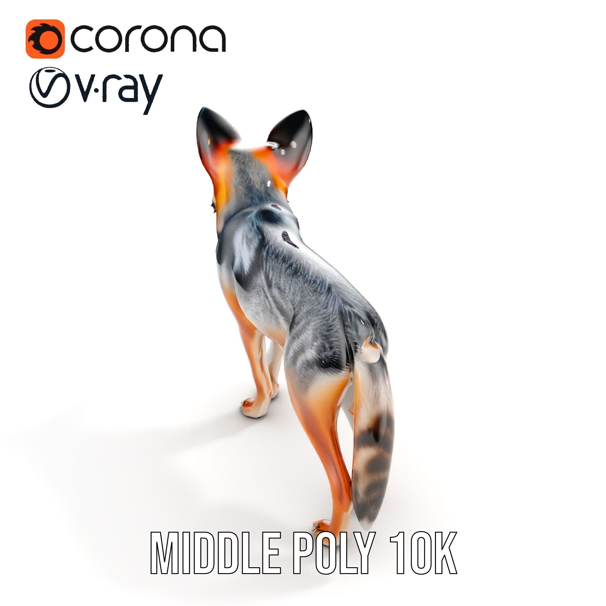 Fox Model Pack  Realistic D Animal Character Low-poly 3D model_10