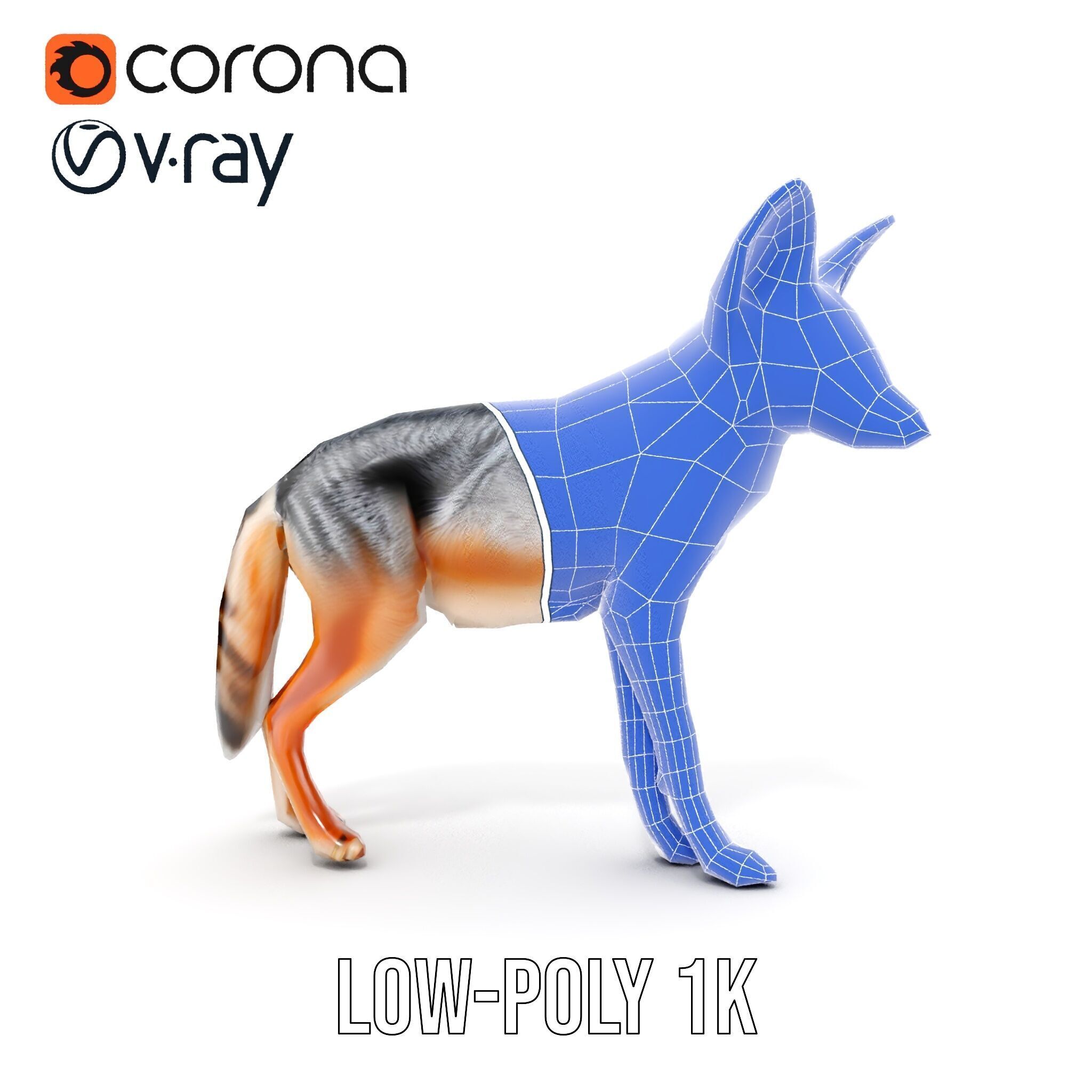 Fox Model Pack  Realistic D Animal Character Low-poly 3D model_32