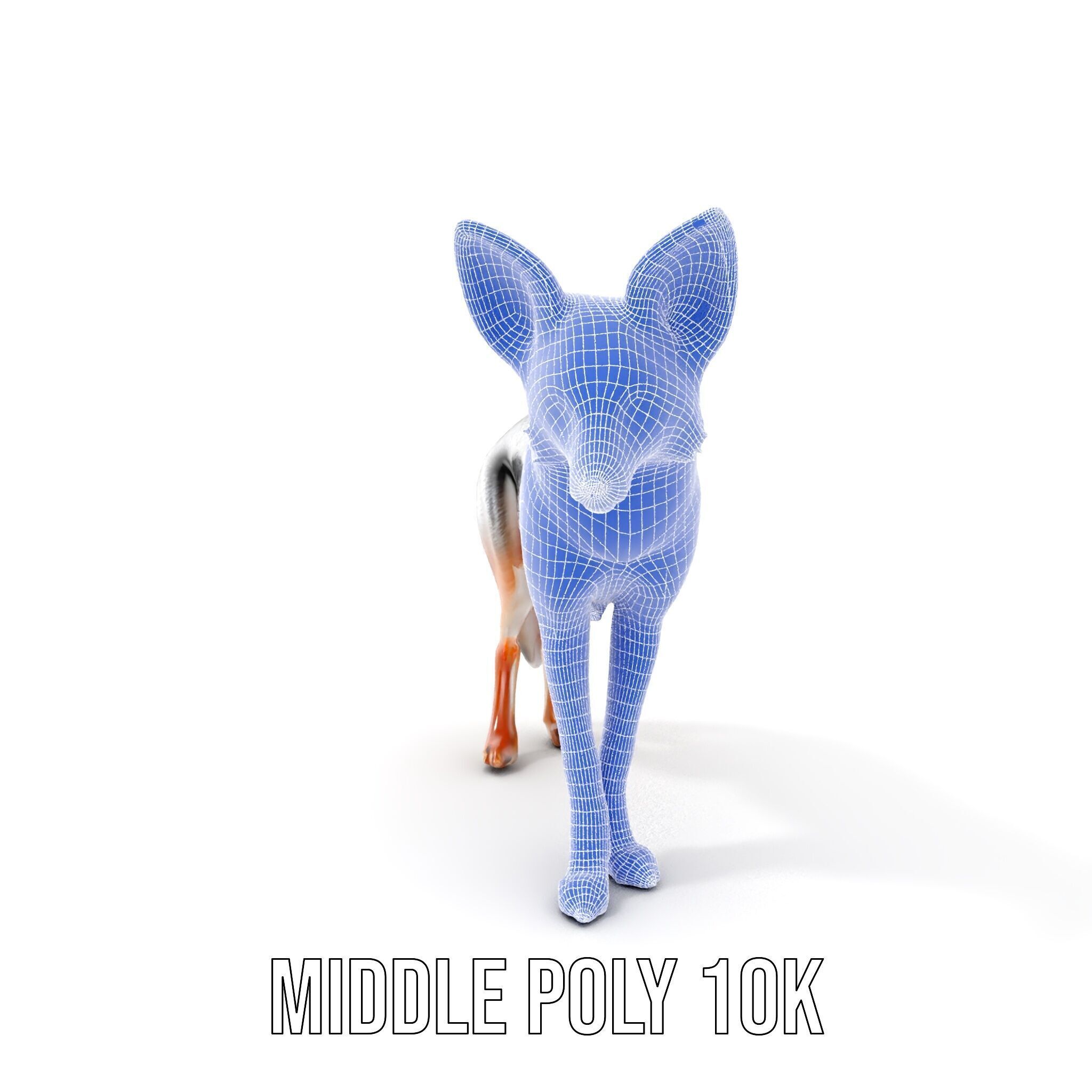 Fox Model Pack  Realistic D Animal Character Low-poly 3D model_20