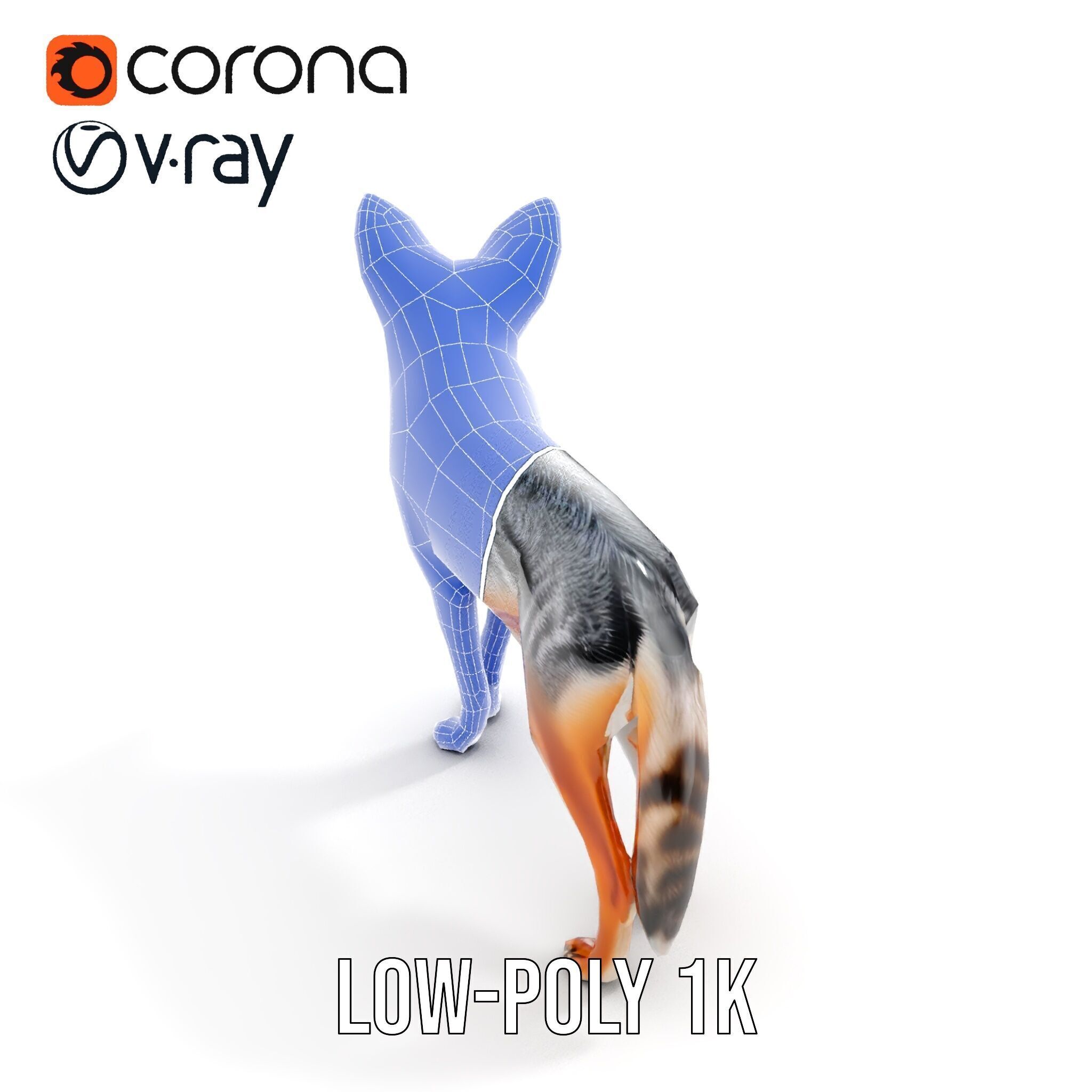 Fox Model Pack  Realistic D Animal Character Low-poly 3D model_24