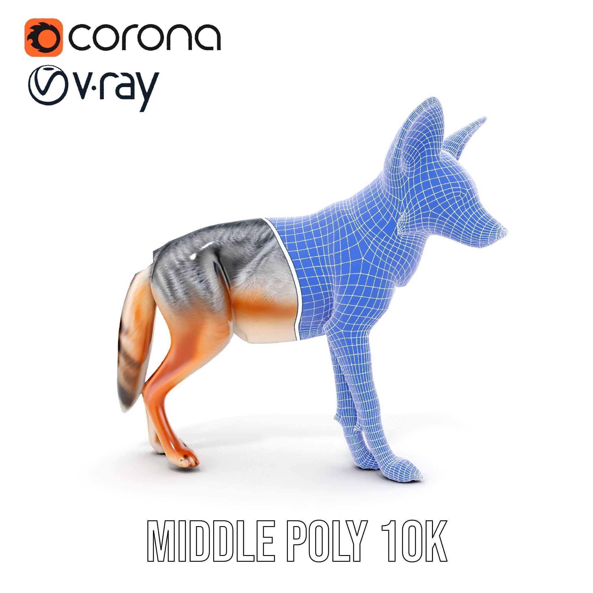 Fox Model Pack  Realistic D Animal Character Low-poly 3D model_31