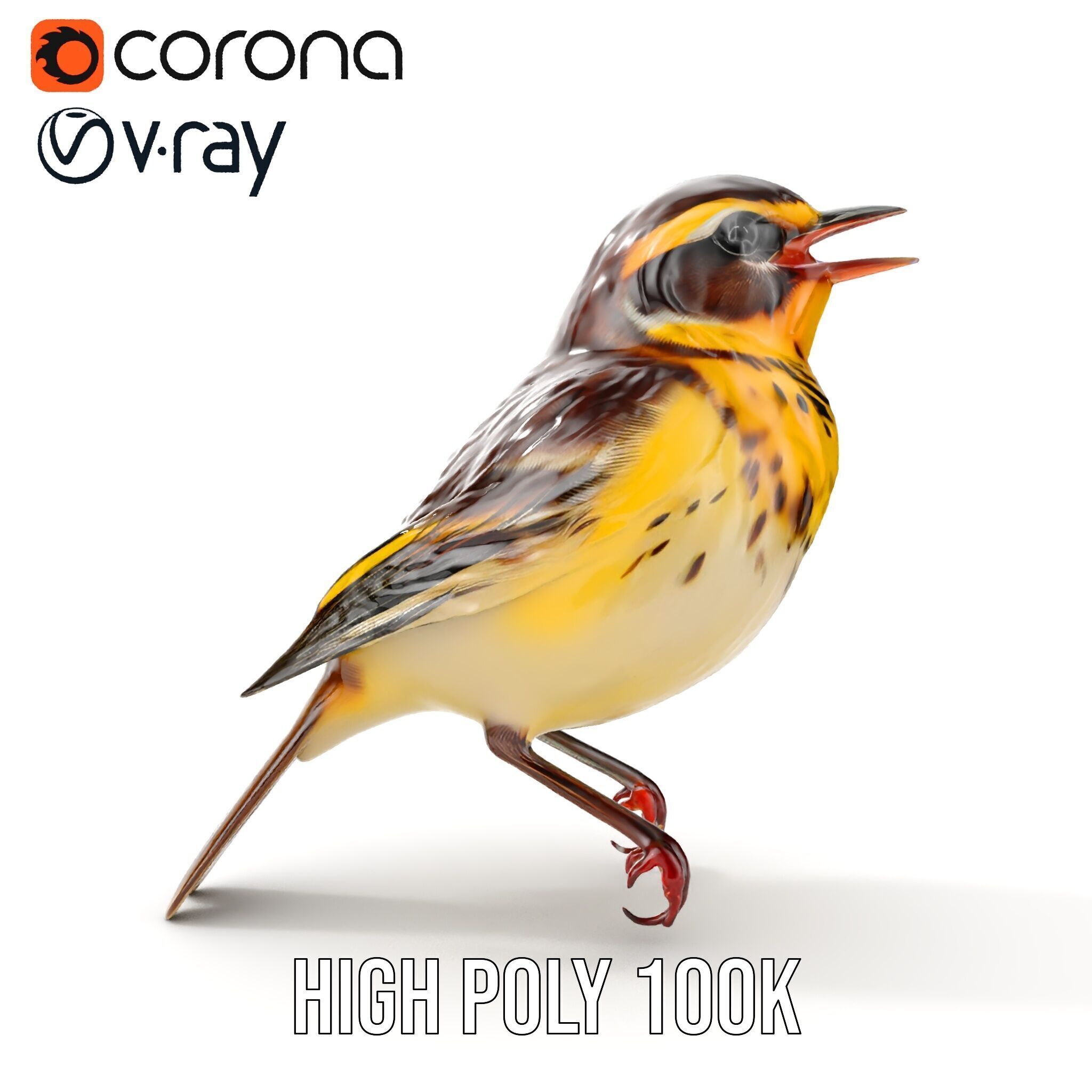 Realistic Bird Model Pack with Detailed Textures Low-poly 3D model_14