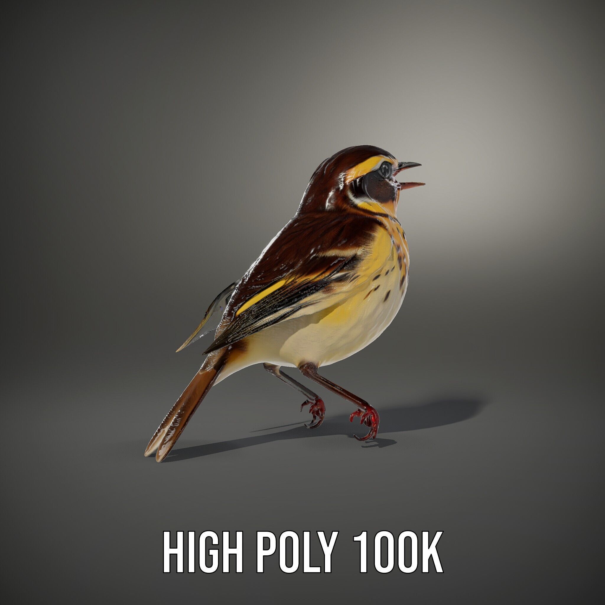 Realistic Bird Model Pack with Detailed Textures Low-poly 3D model_15