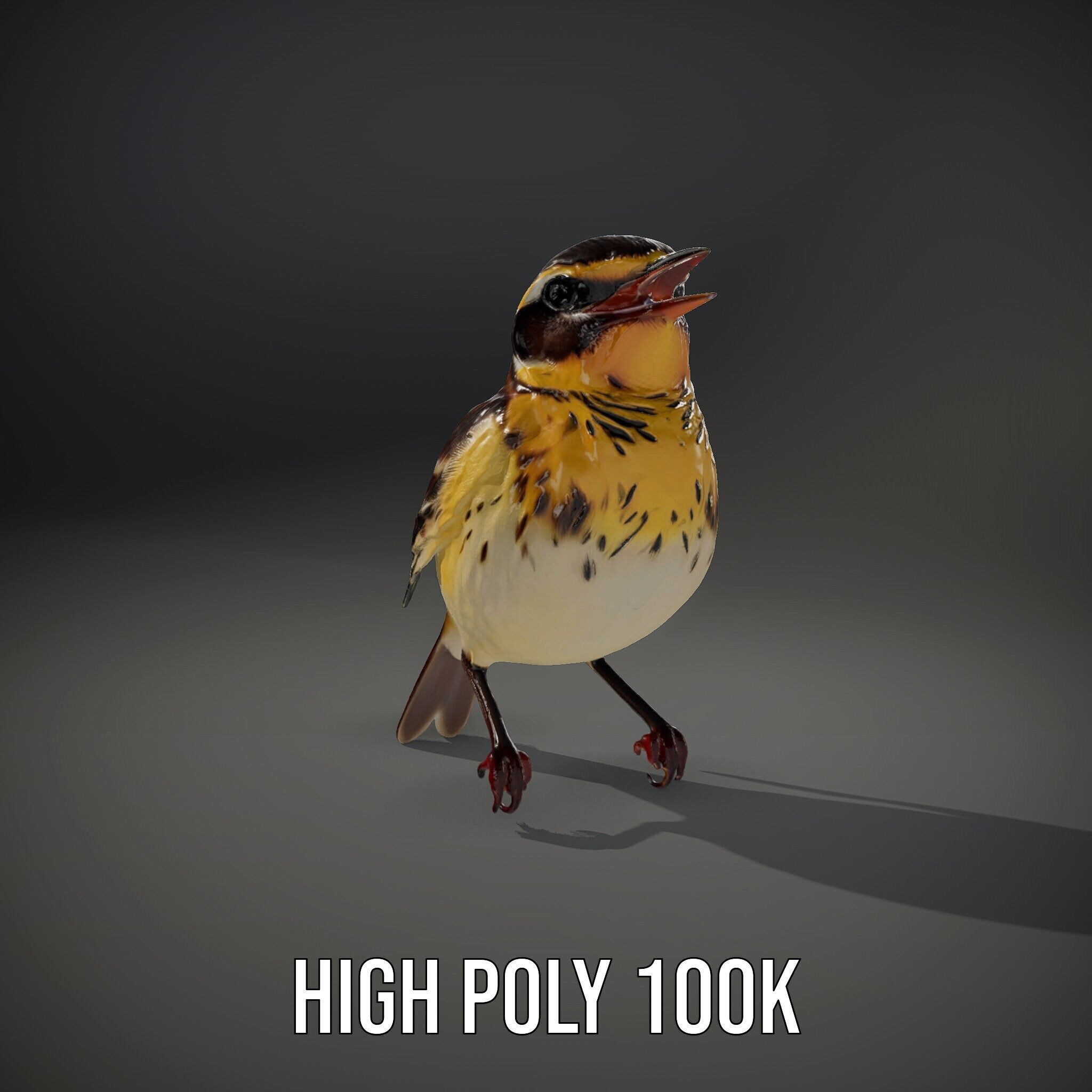 Realistic Bird Model Pack with Detailed Textures Low-poly 3D model_12