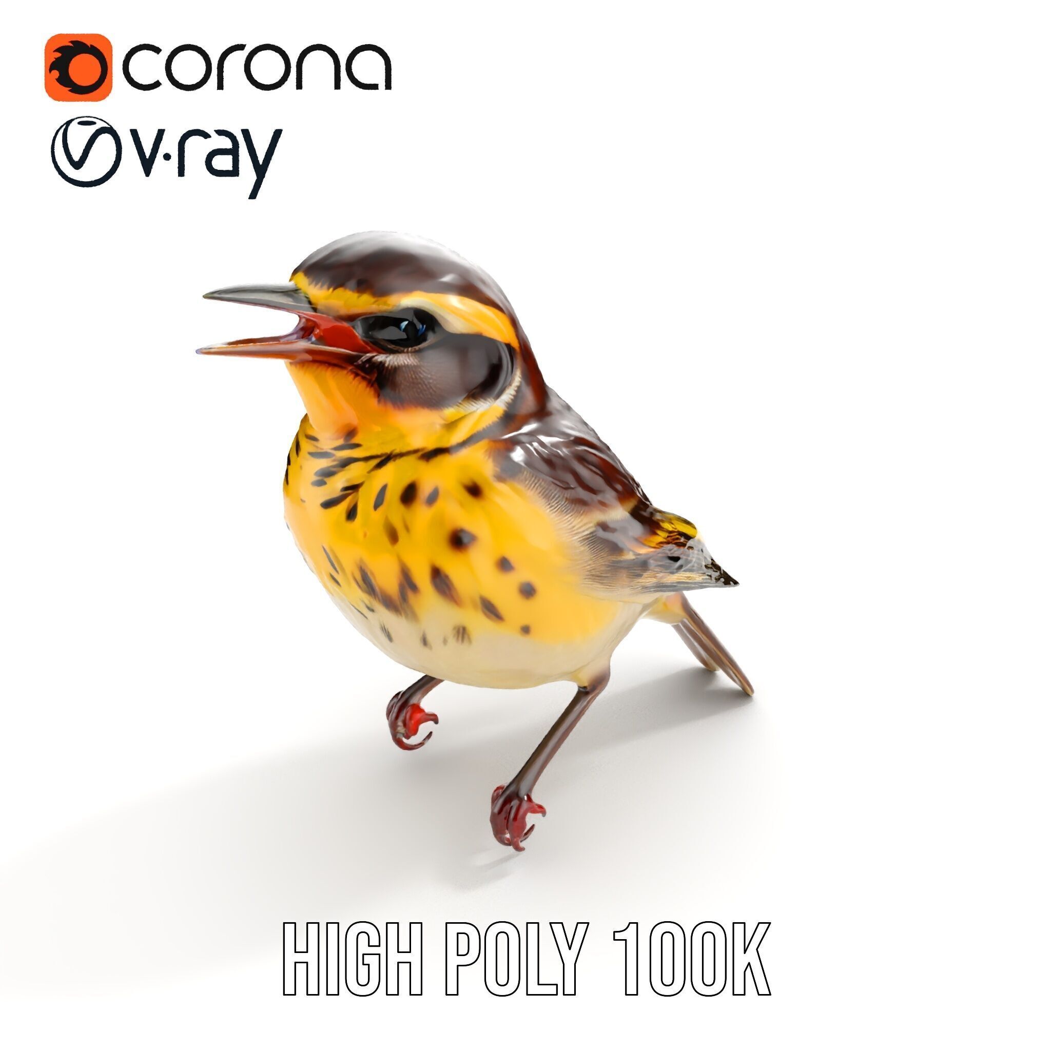 Realistic Bird Model Pack with Detailed Textures Low-poly 3D model_22