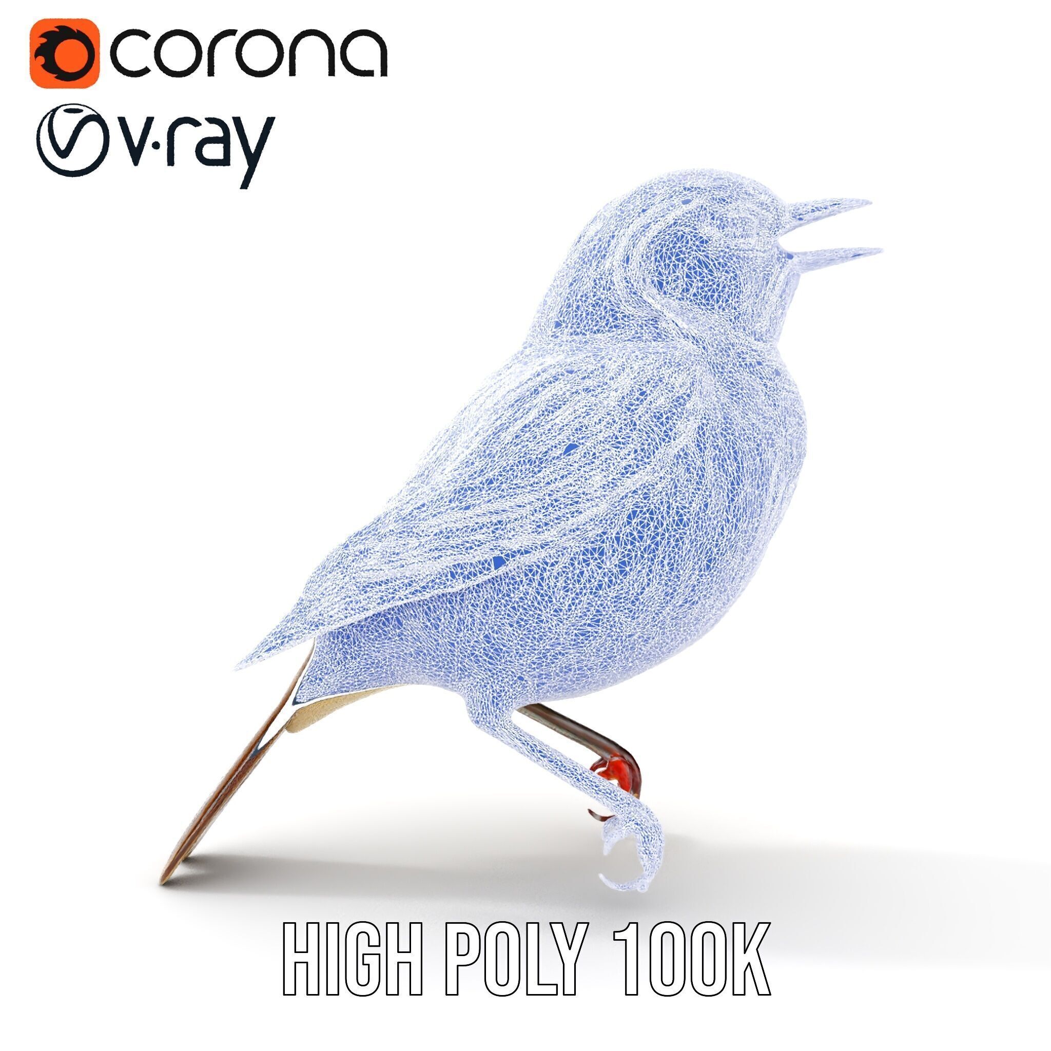 Realistic Bird Model Pack with Detailed Textures Low-poly 3D model_26