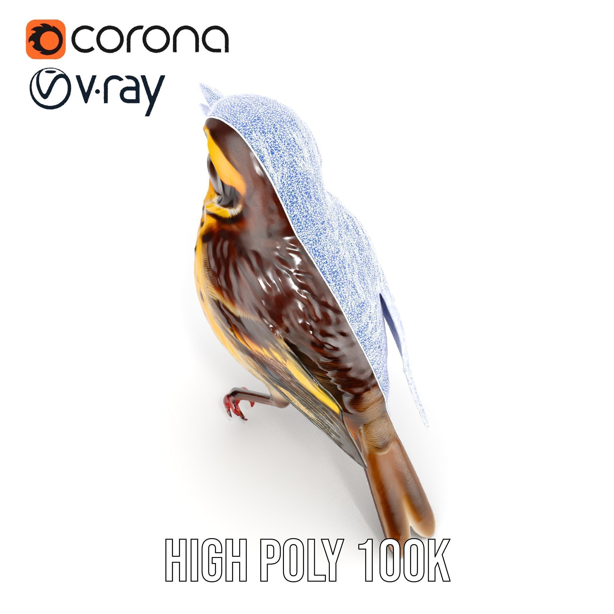 Realistic Bird Model Pack with Detailed Textures Low-poly 3D model_36