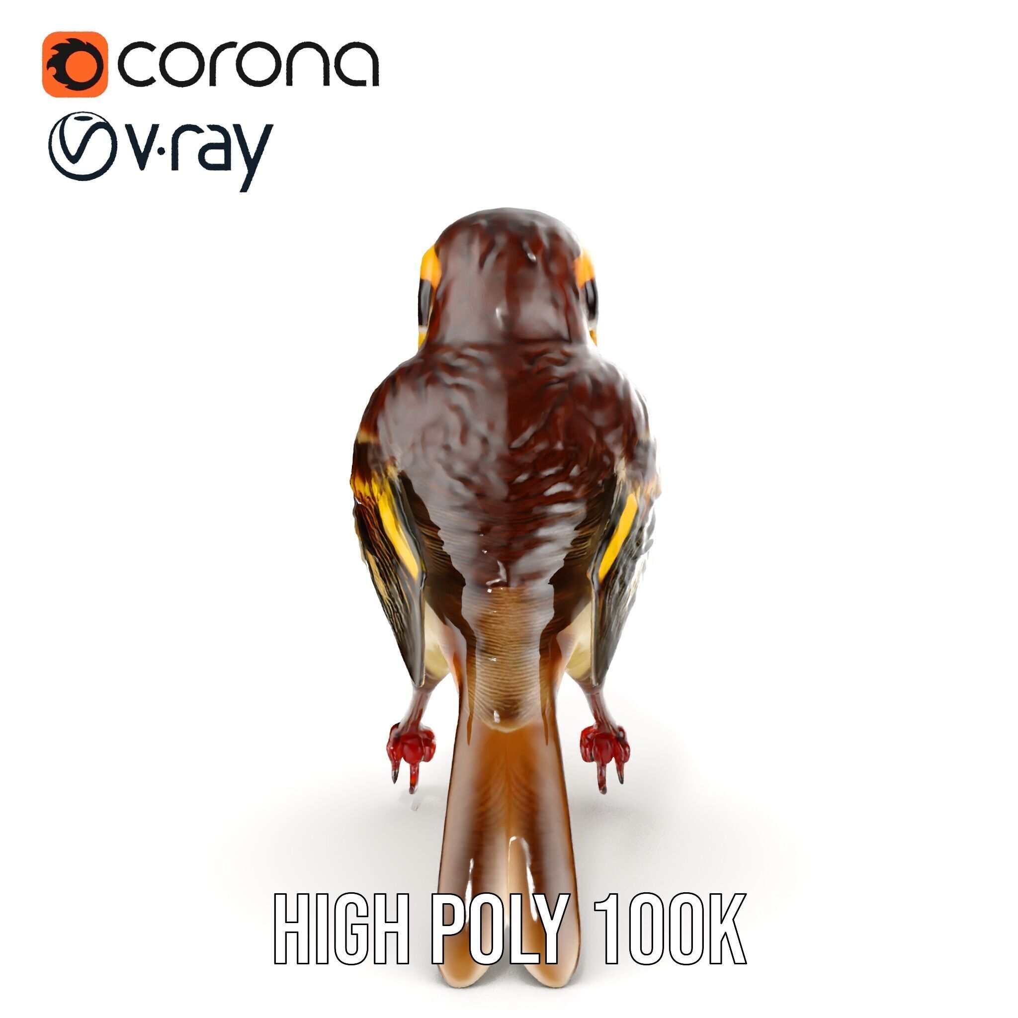 Realistic Bird Model Pack with Detailed Textures Low-poly 3D model_37