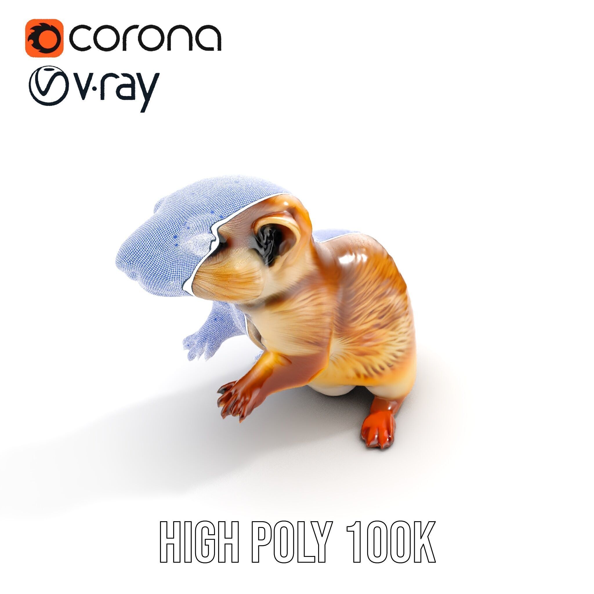 Furry Meerkat Model Pack with Detailed Textures Low-poly 3D model_30