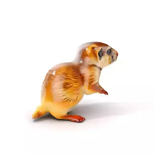 Furry Meerkat Model Pack with Detailed Textures Low-poly 3D model