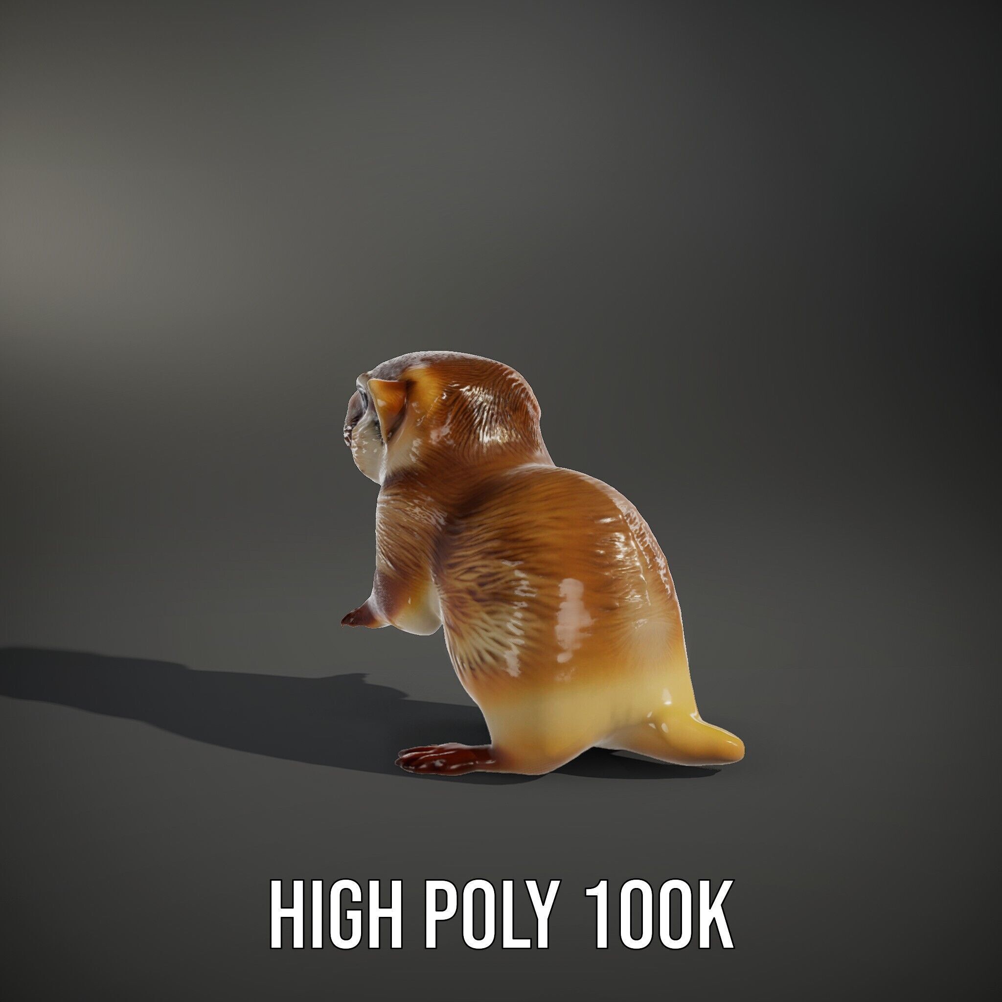 Furry Meerkat Model Pack with Detailed Textures Low-poly 3D model_12