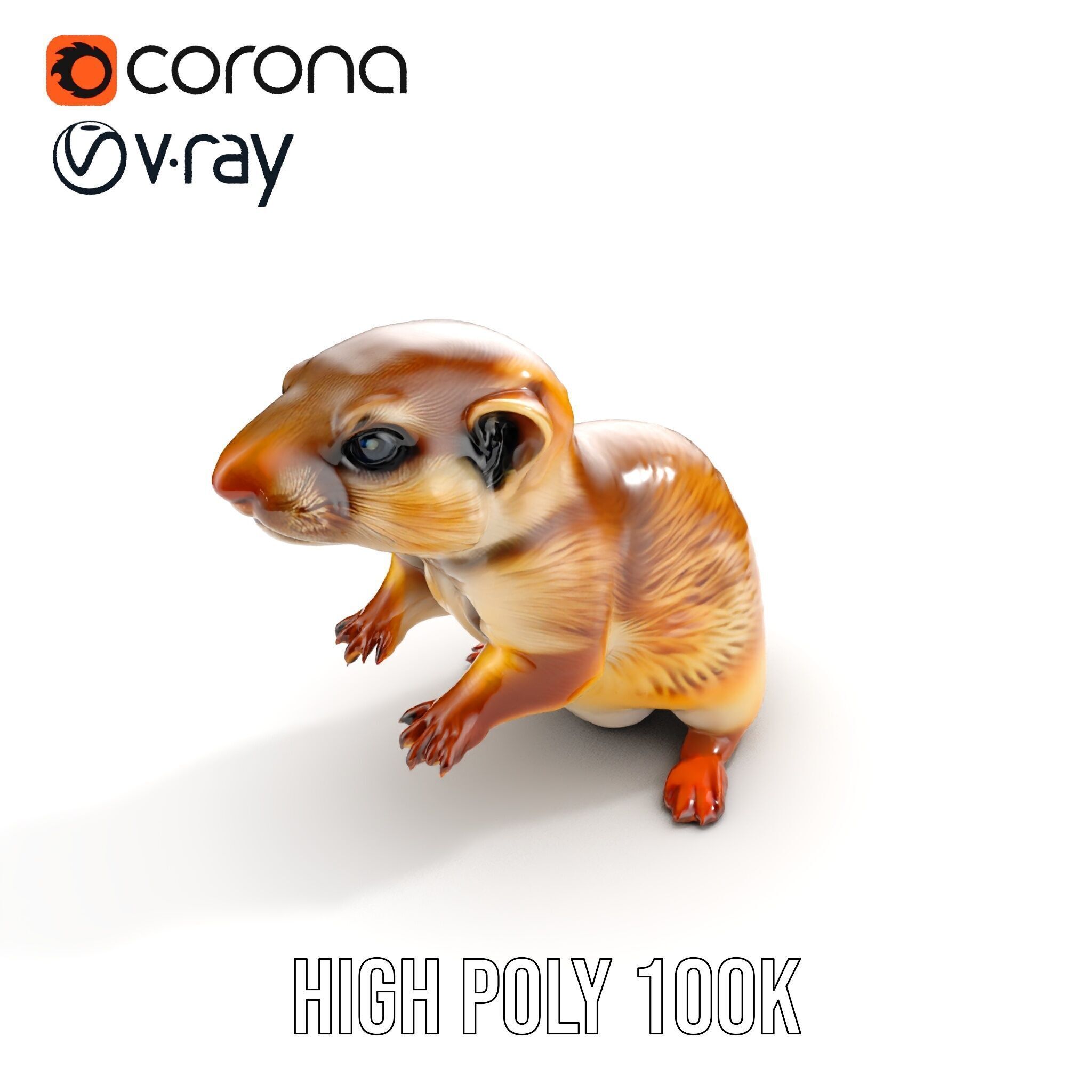 Furry Meerkat Model Pack with Detailed Textures Low-poly 3D model_20