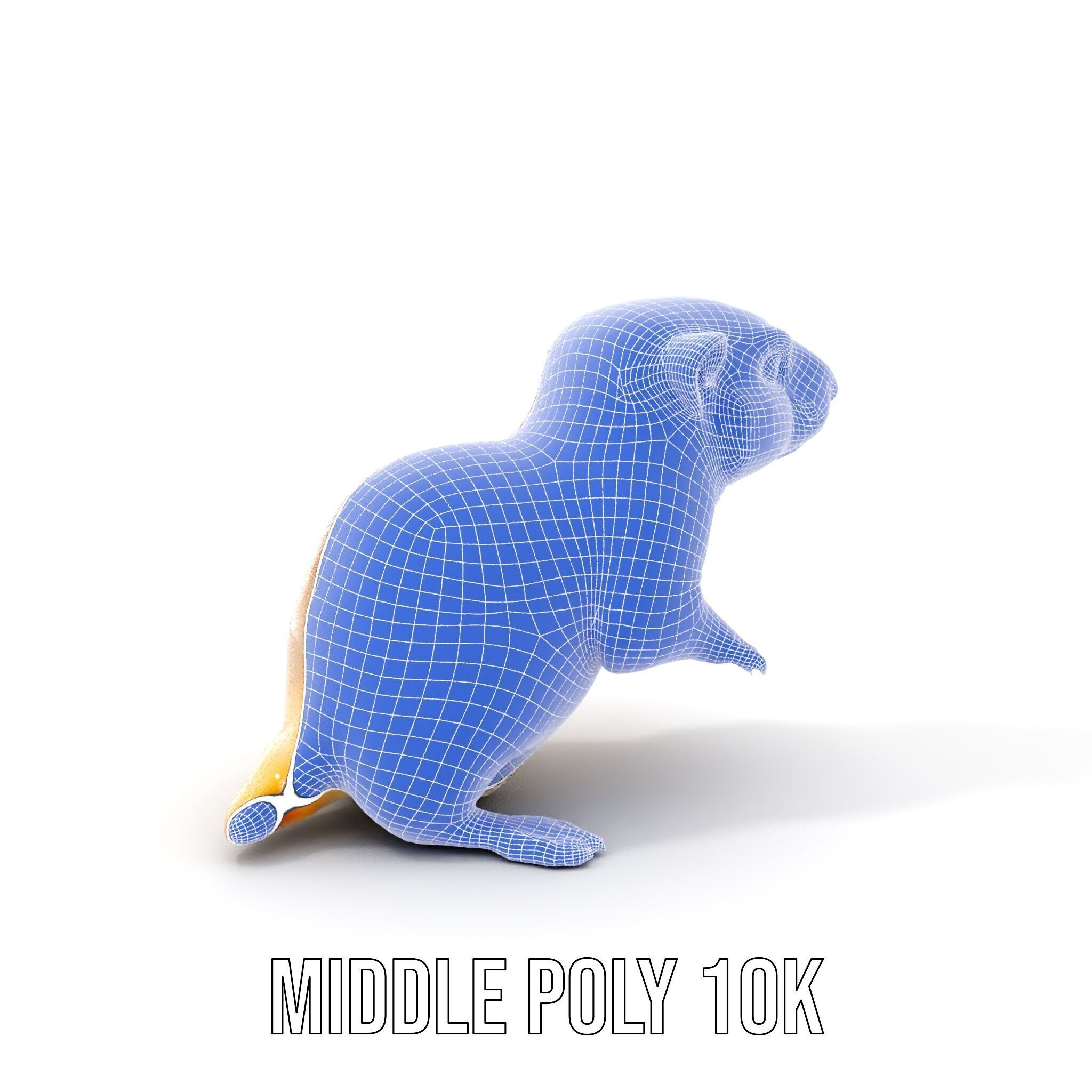Furry Meerkat Model Pack with Detailed Textures Low-poly 3D model_18