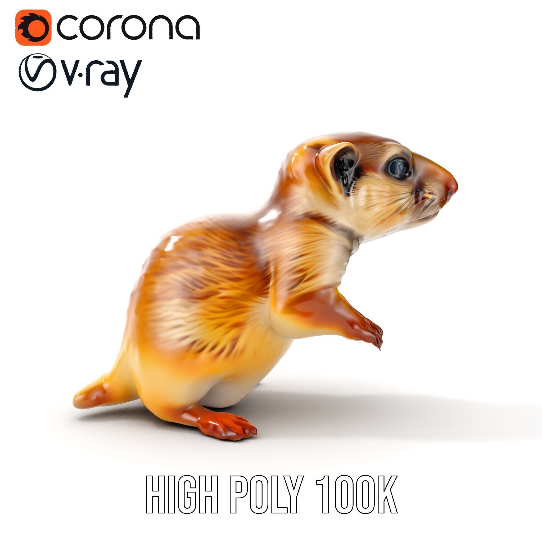 Furry Meerkat Model Pack with Detailed Textures Low-poly 3D model_36