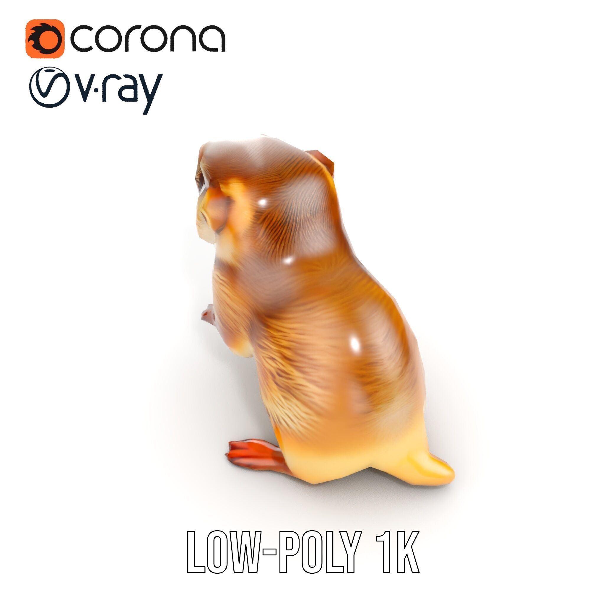 Furry Meerkat Model Pack with Detailed Textures Low-poly 3D model_24