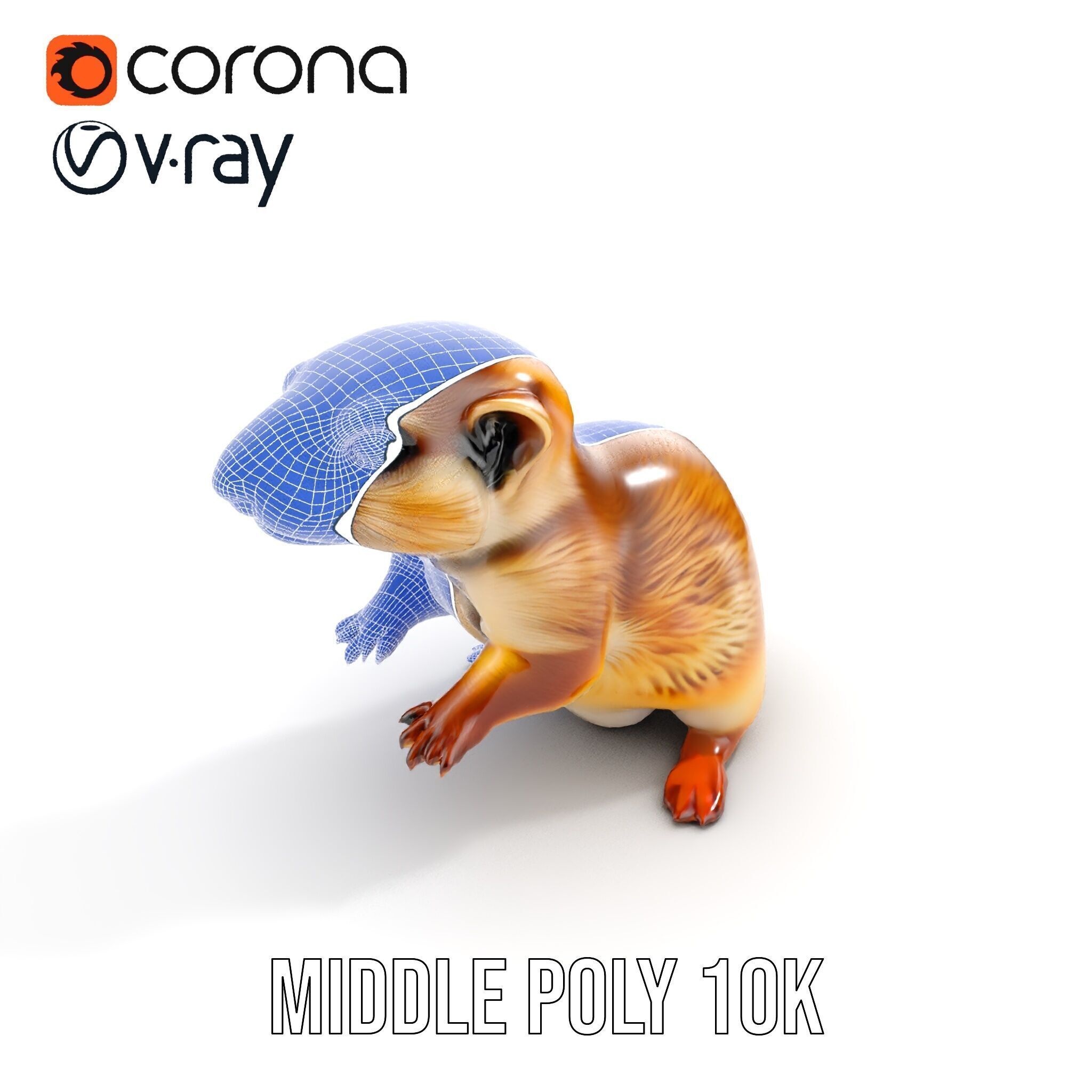 Furry Meerkat Model Pack with Detailed Textures Low-poly 3D model_21