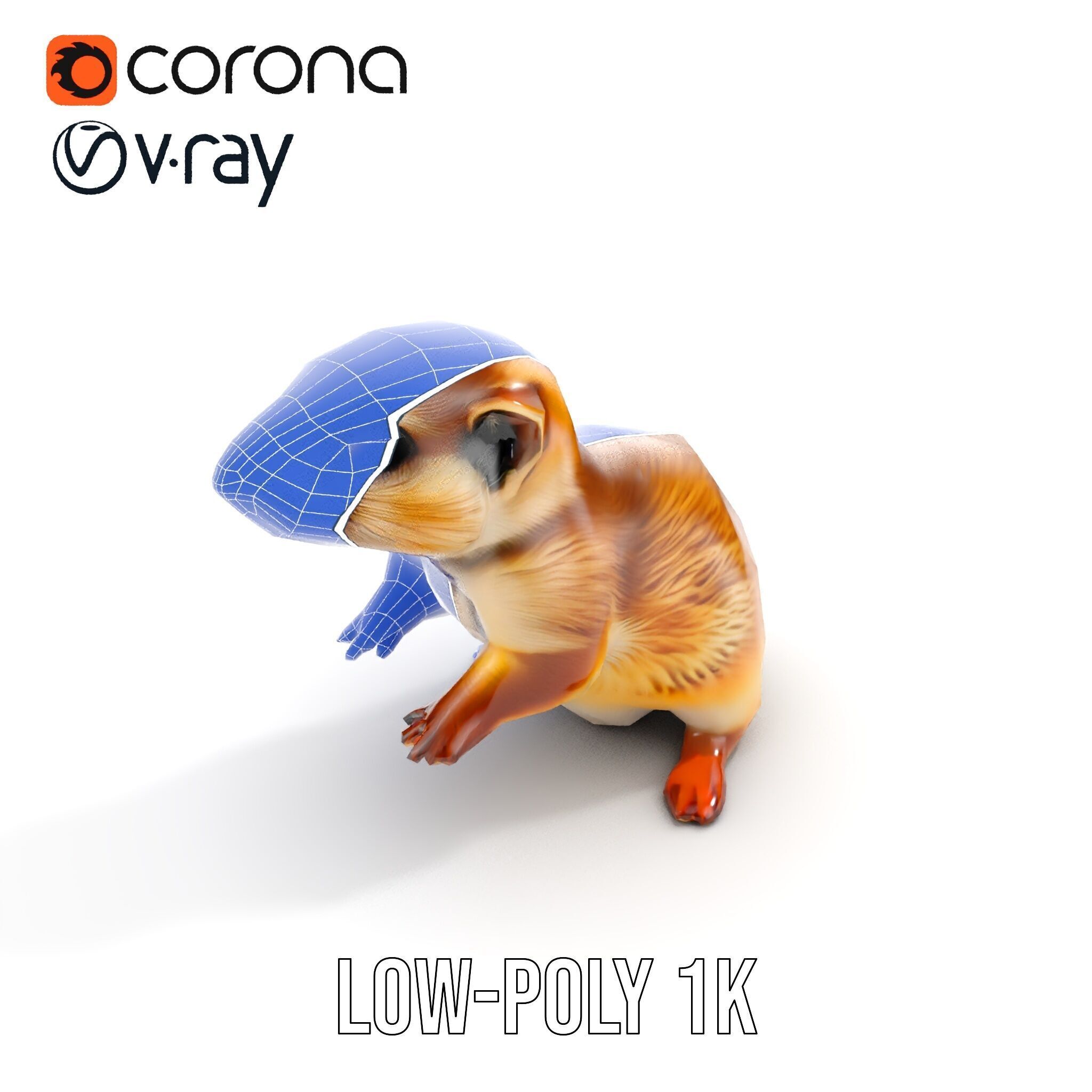 Furry Meerkat Model Pack with Detailed Textures Low-poly 3D model_19