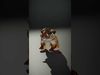 Furry Meerkat Model Pack with Detailed Textures Low-poly 3D model_2