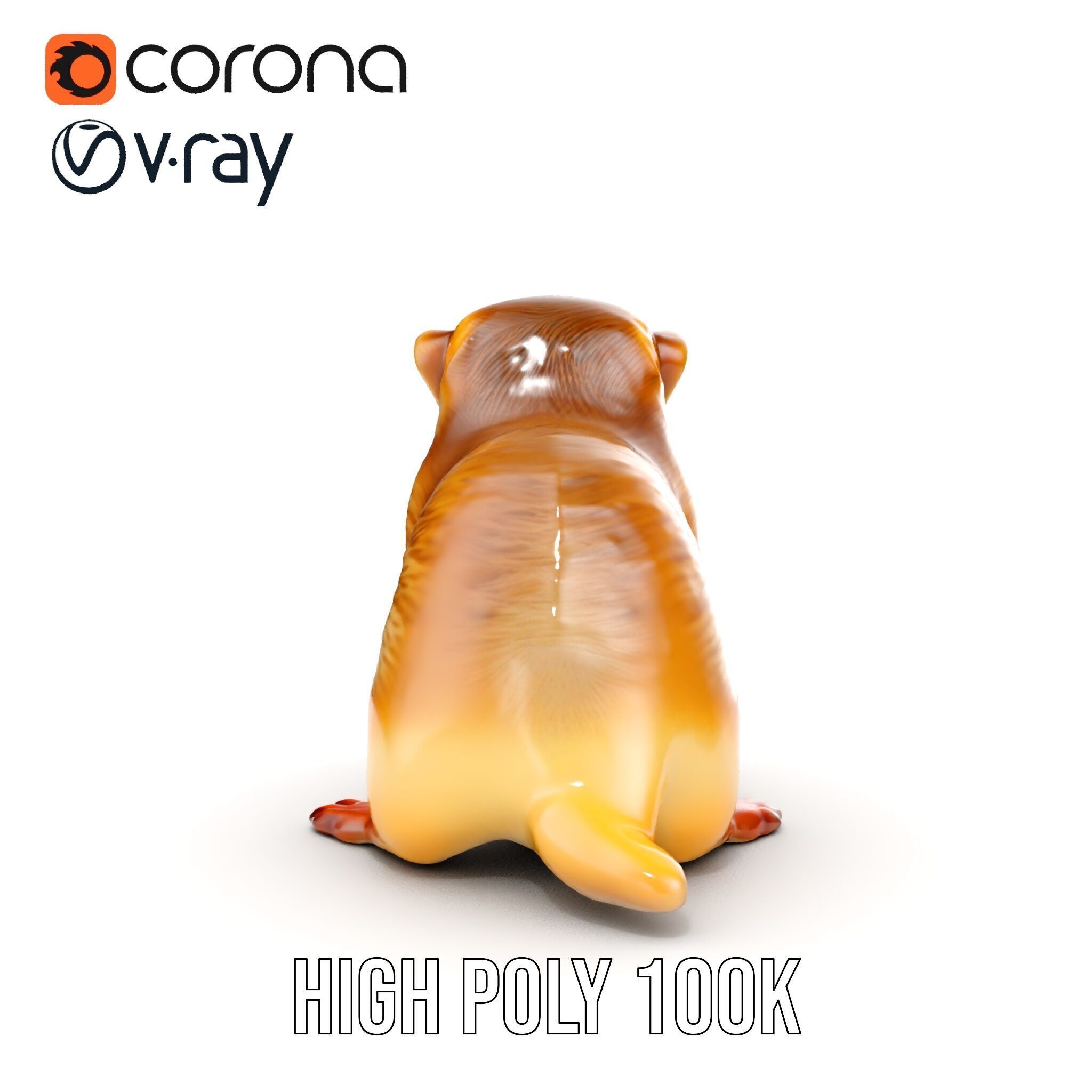 Furry Meerkat Model Pack with Detailed Textures Low-poly 3D model_38