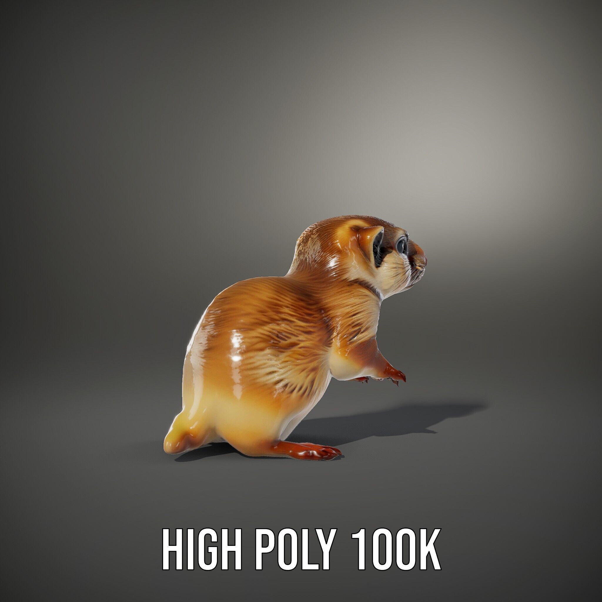 Furry Meerkat Model Pack with Detailed Textures Low-poly 3D model_9