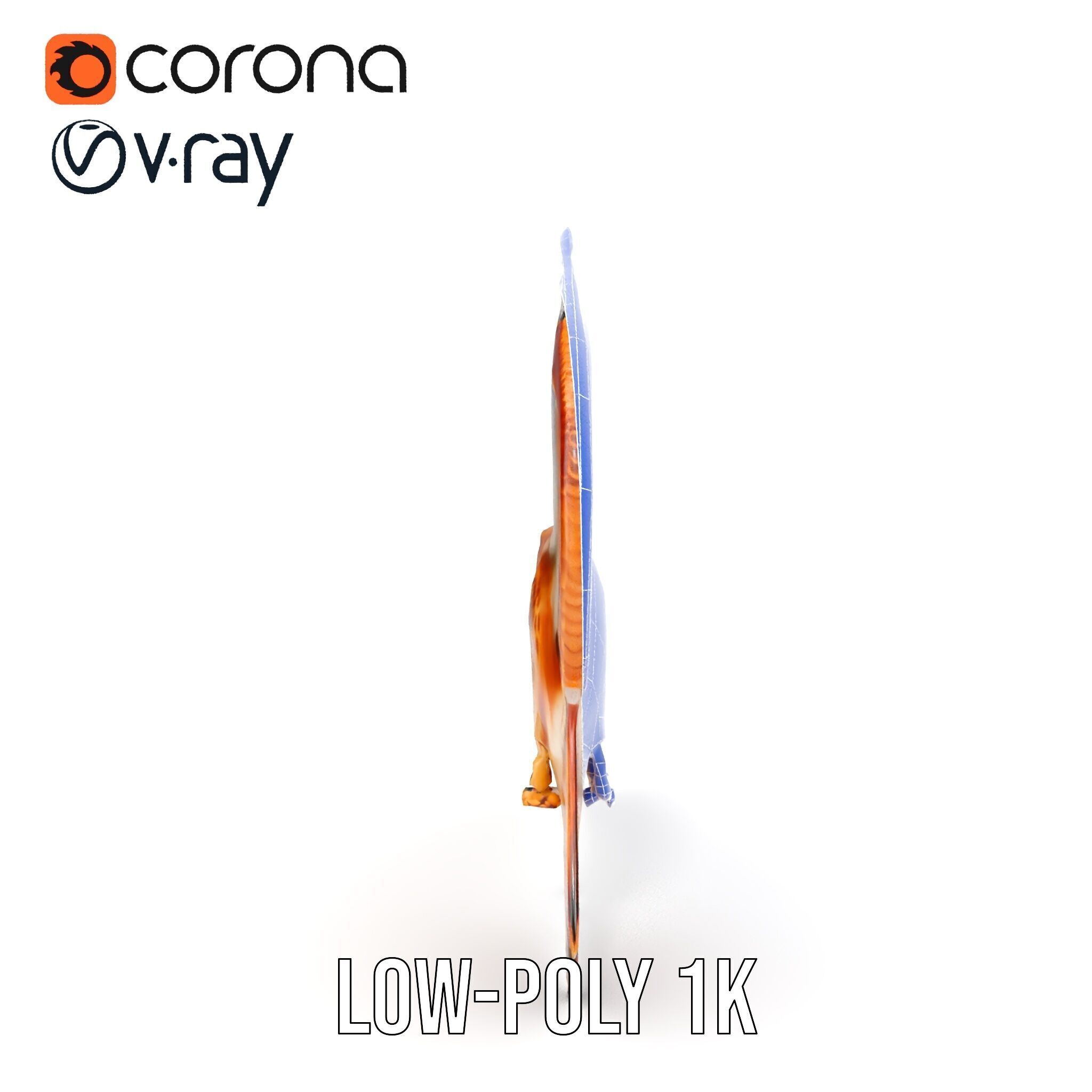 Redtailed Hawk D Model Pack Low-poly 3D model_30