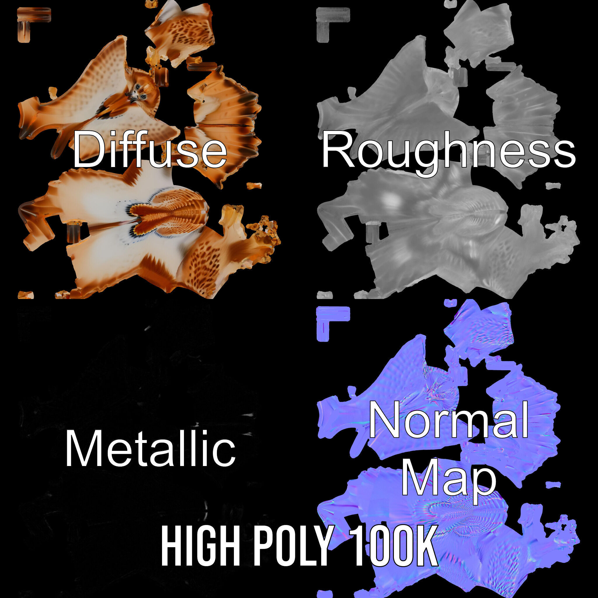 Redtailed Hawk D Model Pack Low-poly 3D model_4