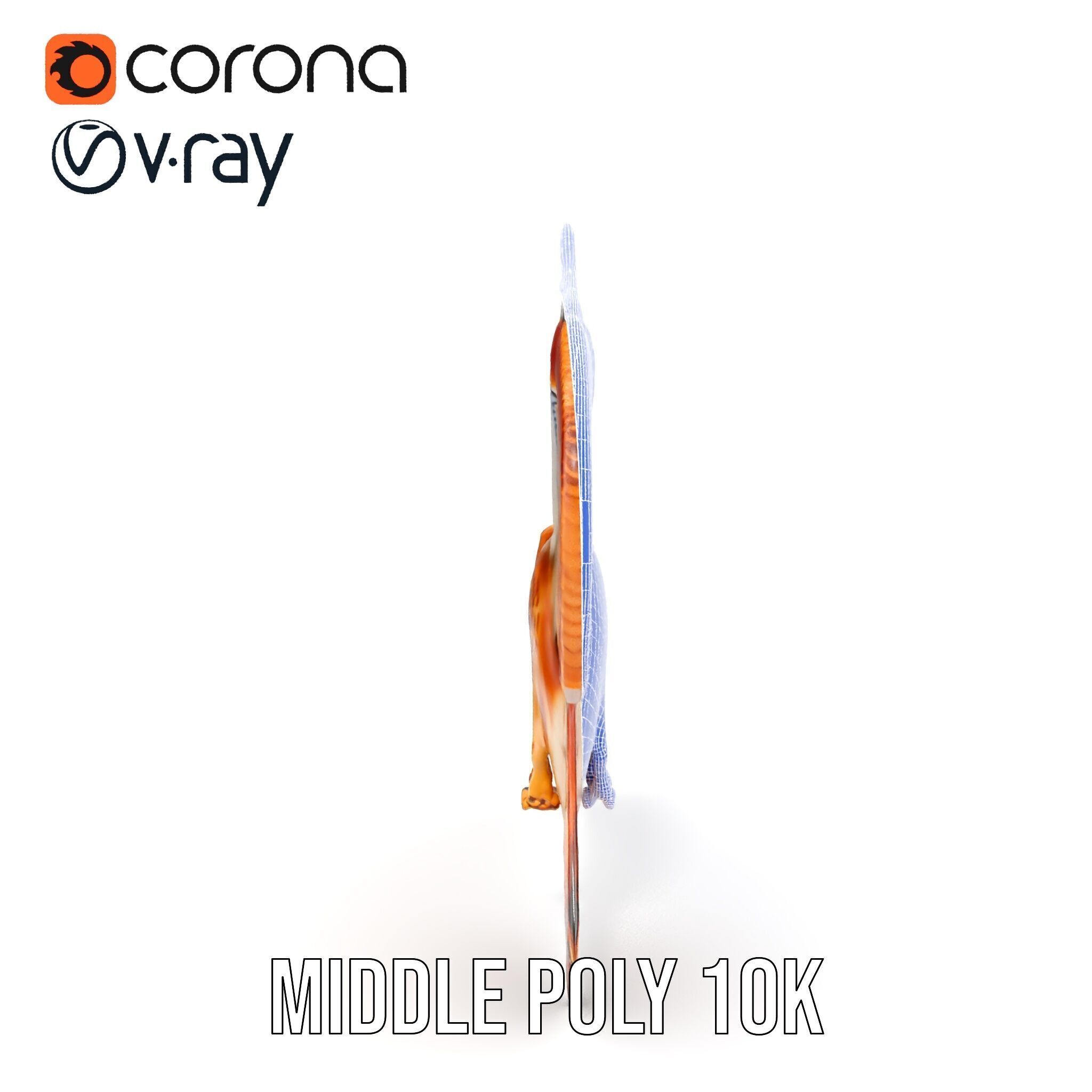 Redtailed Hawk D Model Pack Low-poly 3D model_23