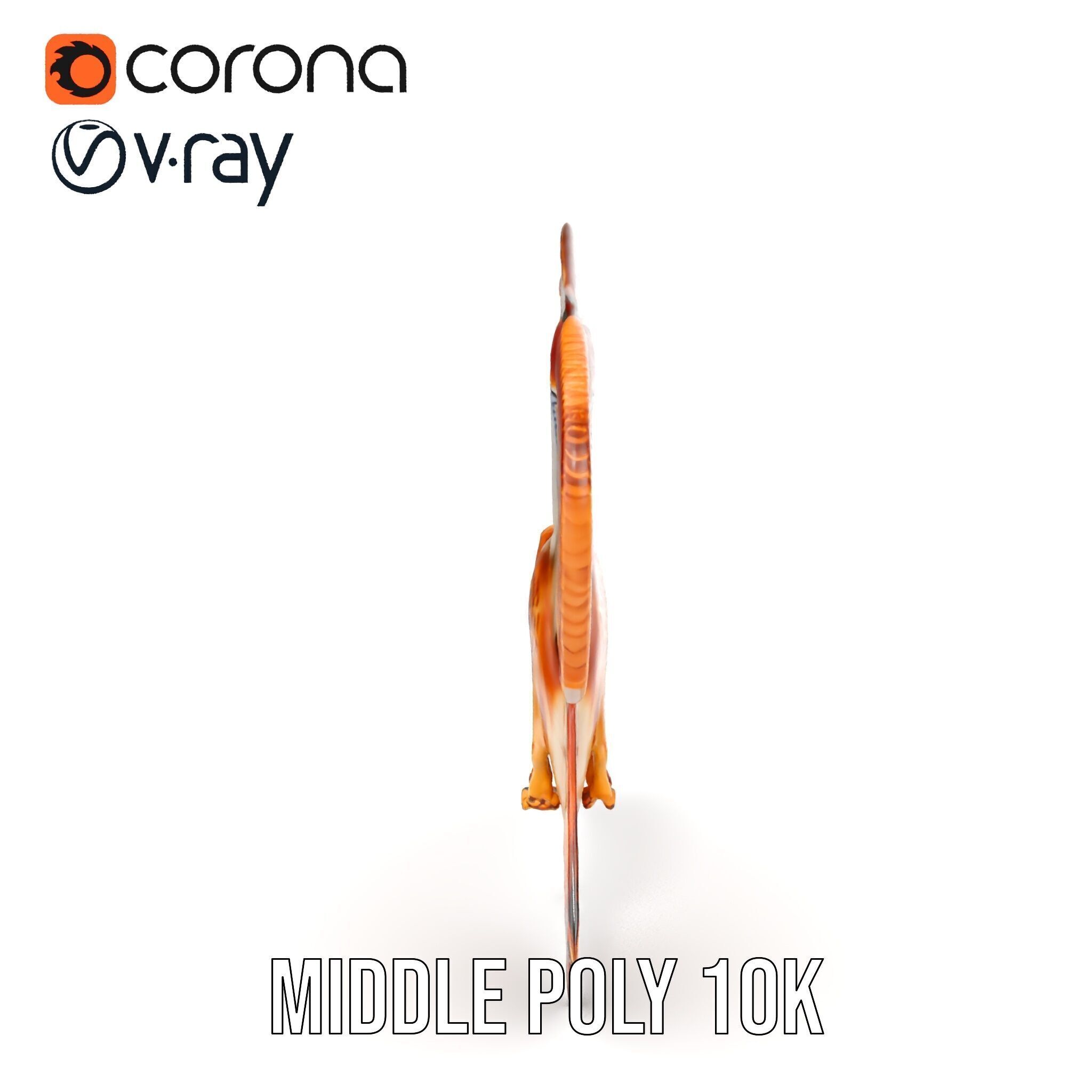 Redtailed Hawk D Model Pack Low-poly 3D model_29