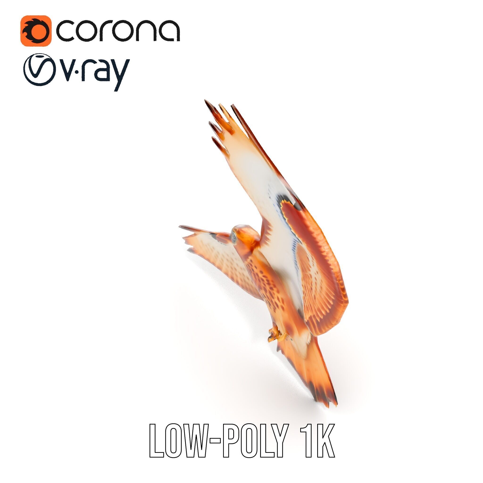 Redtailed Hawk D Model Pack Low-poly 3D model_11