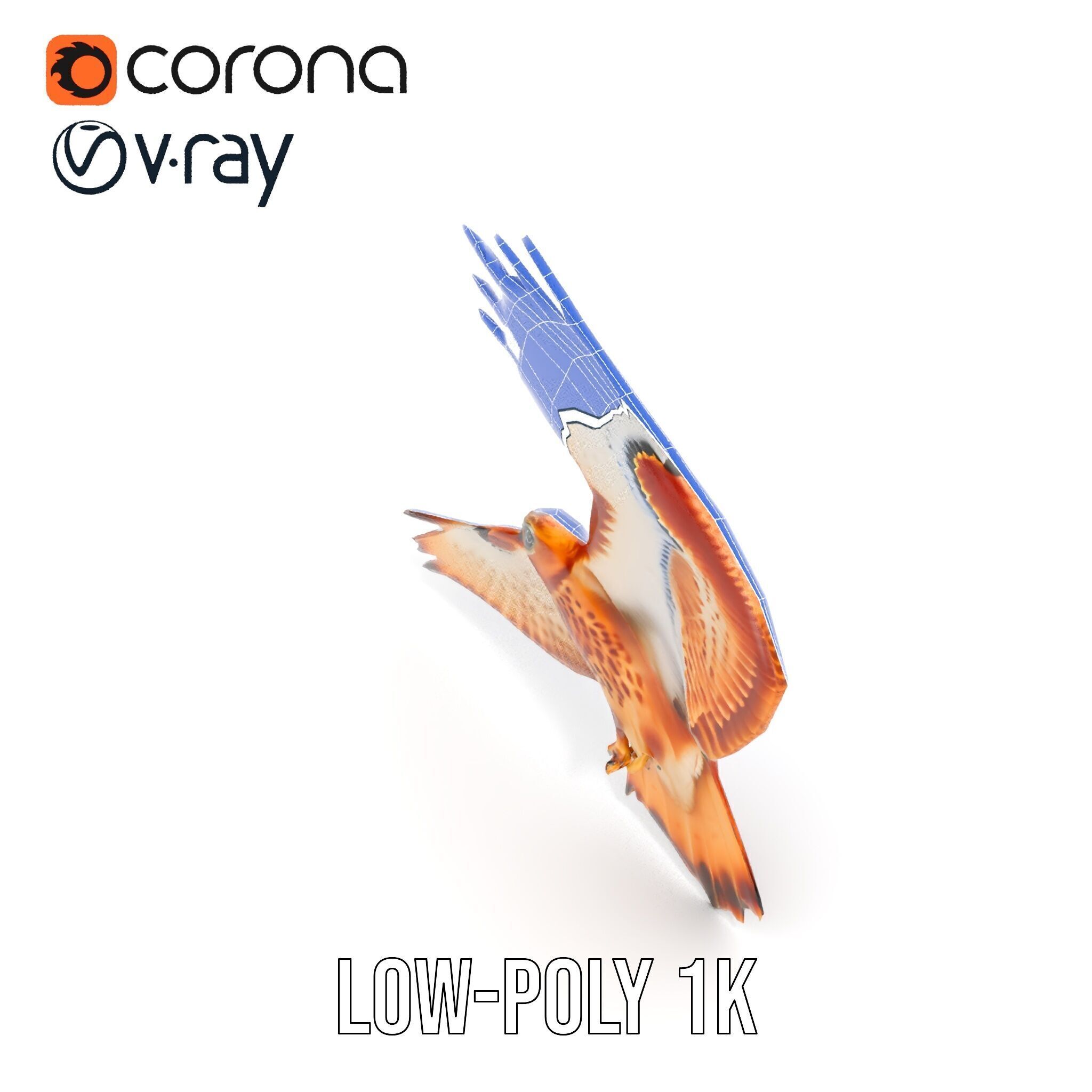 Redtailed Hawk D Model Pack Low-poly 3D model_27
