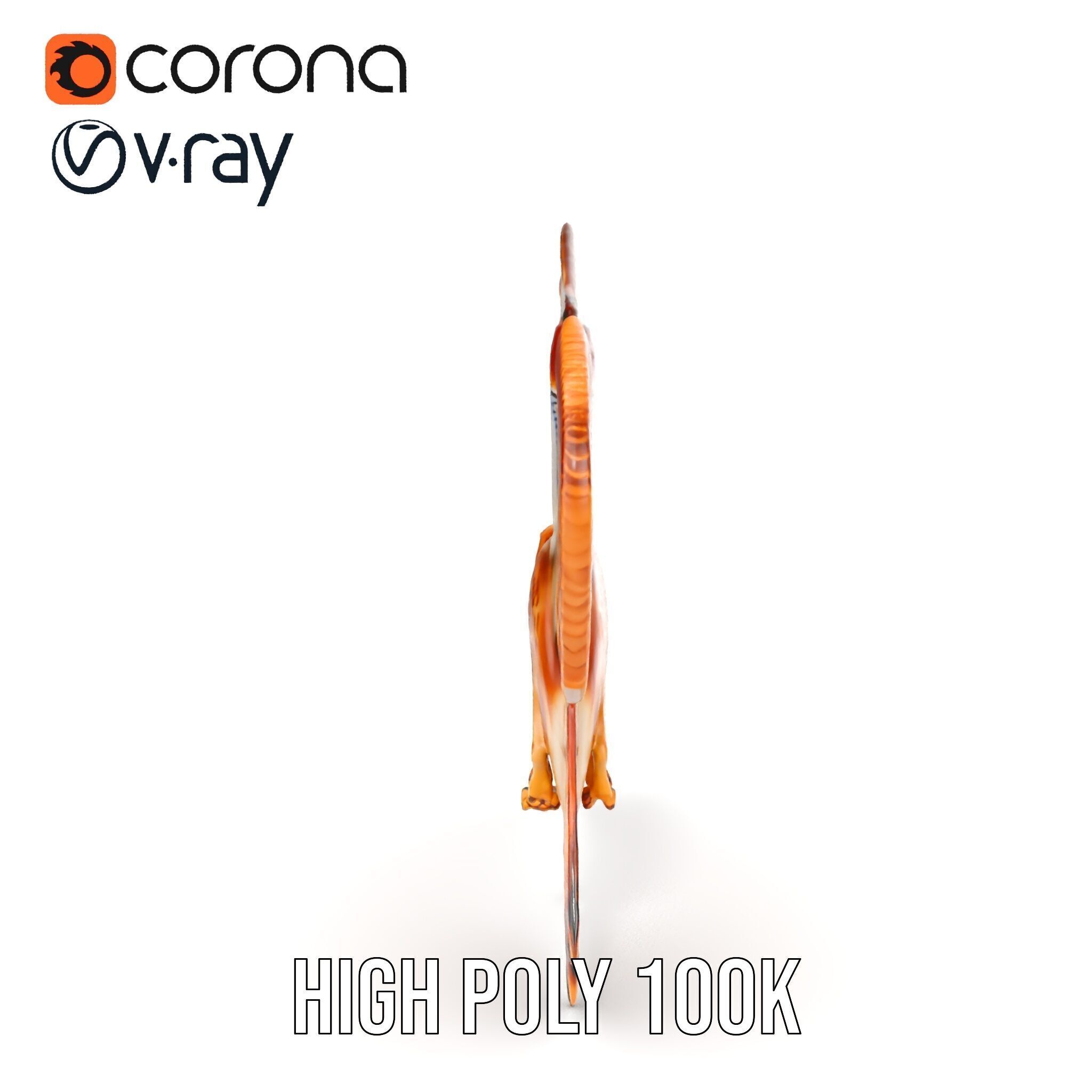 Redtailed Hawk D Model Pack Low-poly 3D model_34