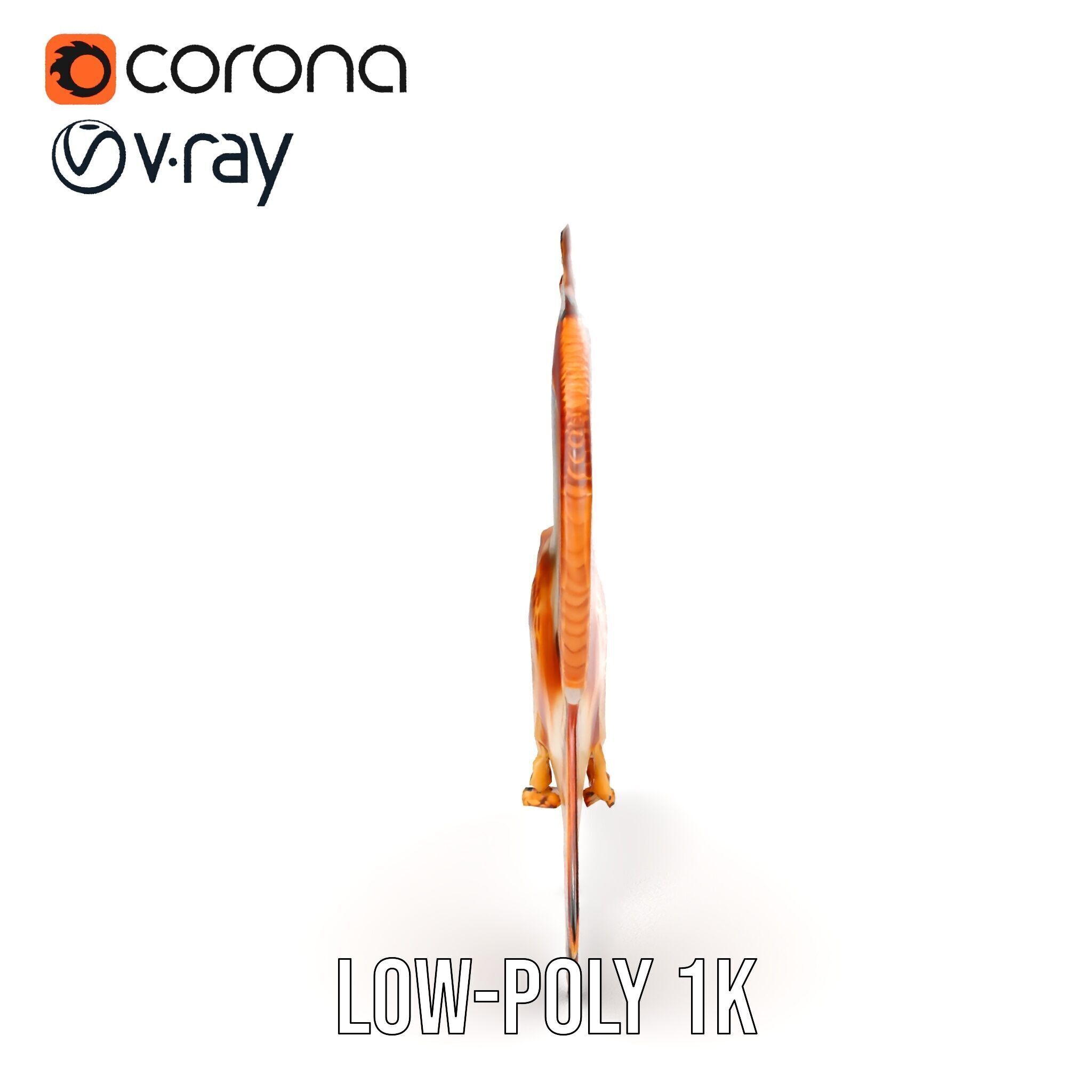 Redtailed Hawk D Model Pack Low-poly 3D model_19