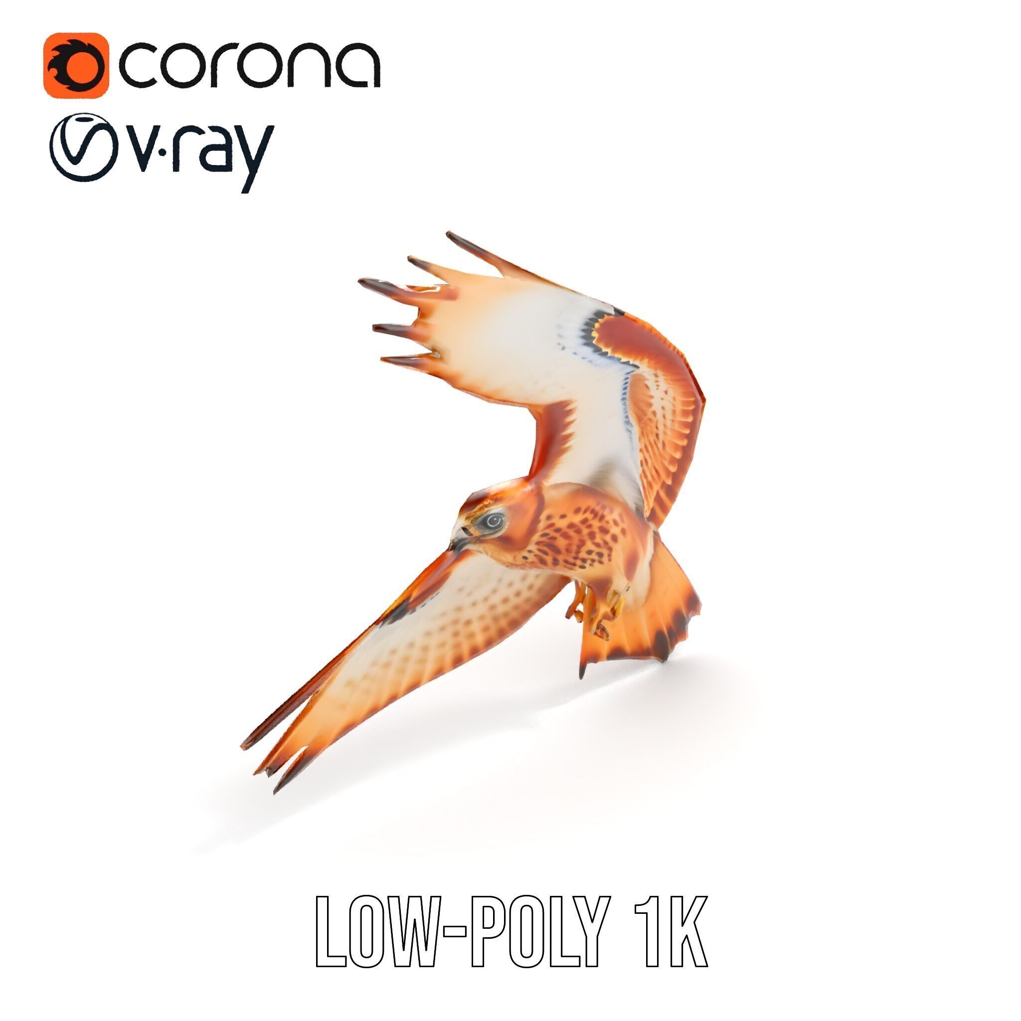 Redtailed Hawk D Model Pack Low-poly 3D model_8