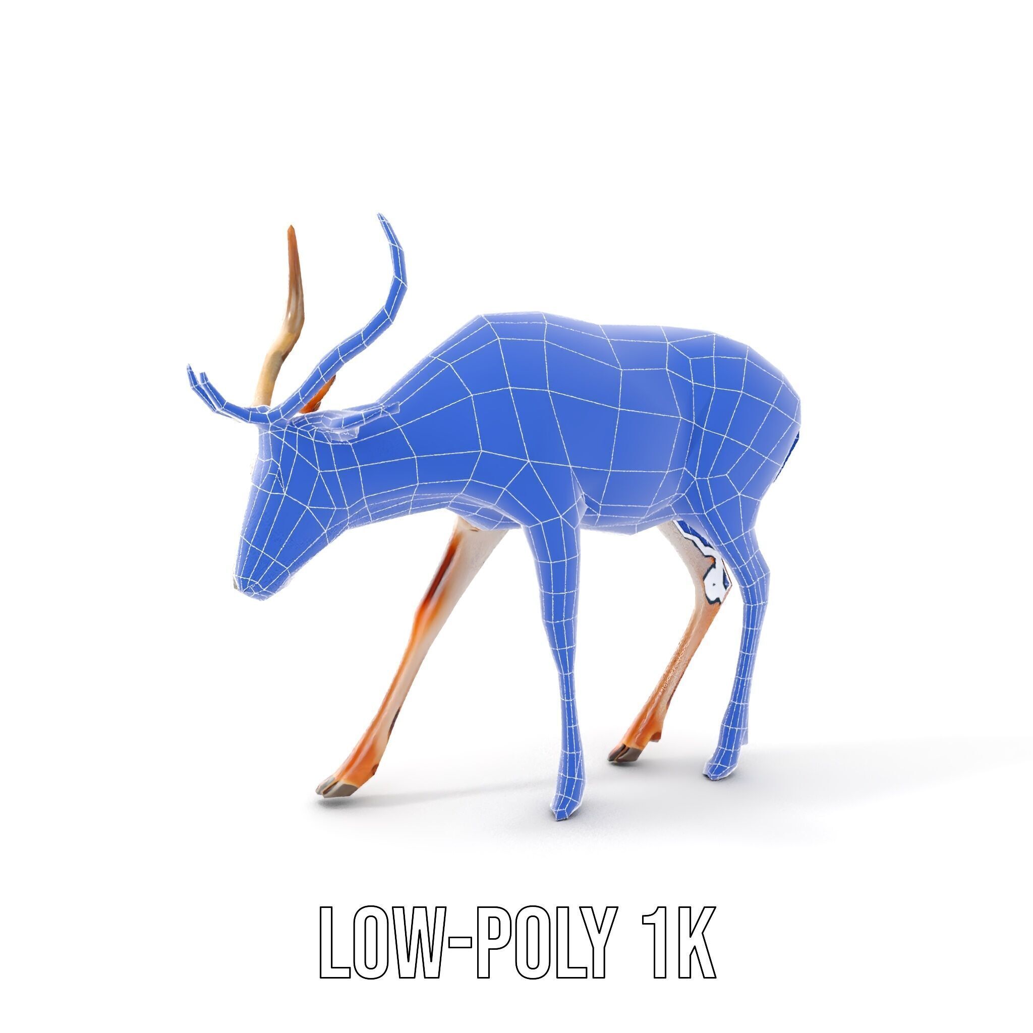 Elegant Buck Model Pack for Realistic Wildlife Scenes Low-poly 3D model_18