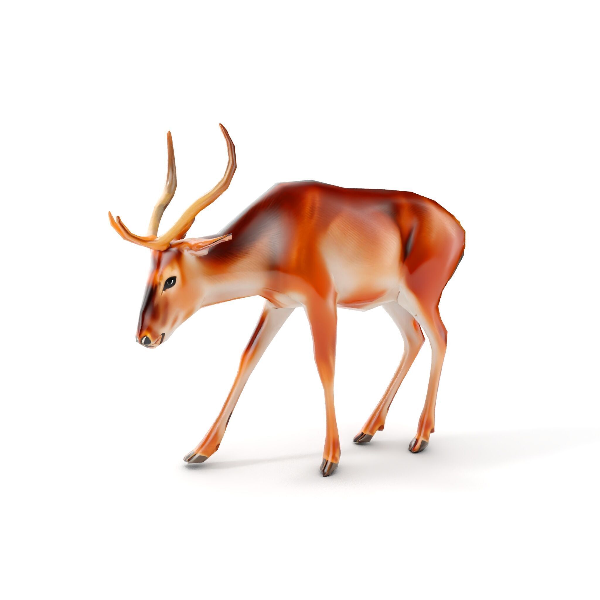Elegant Buck Model Pack for Realistic Wildlife Scenes Low-poly 3D model_13