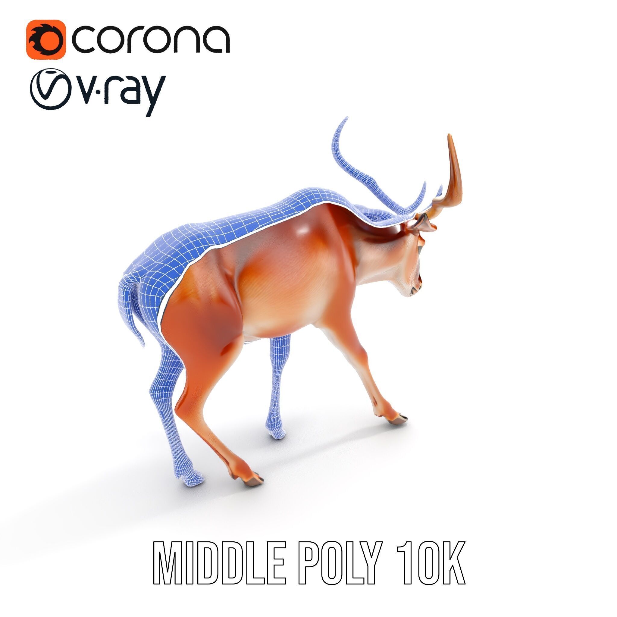 Elegant Buck Model Pack for Realistic Wildlife Scenes Low-poly 3D model_15