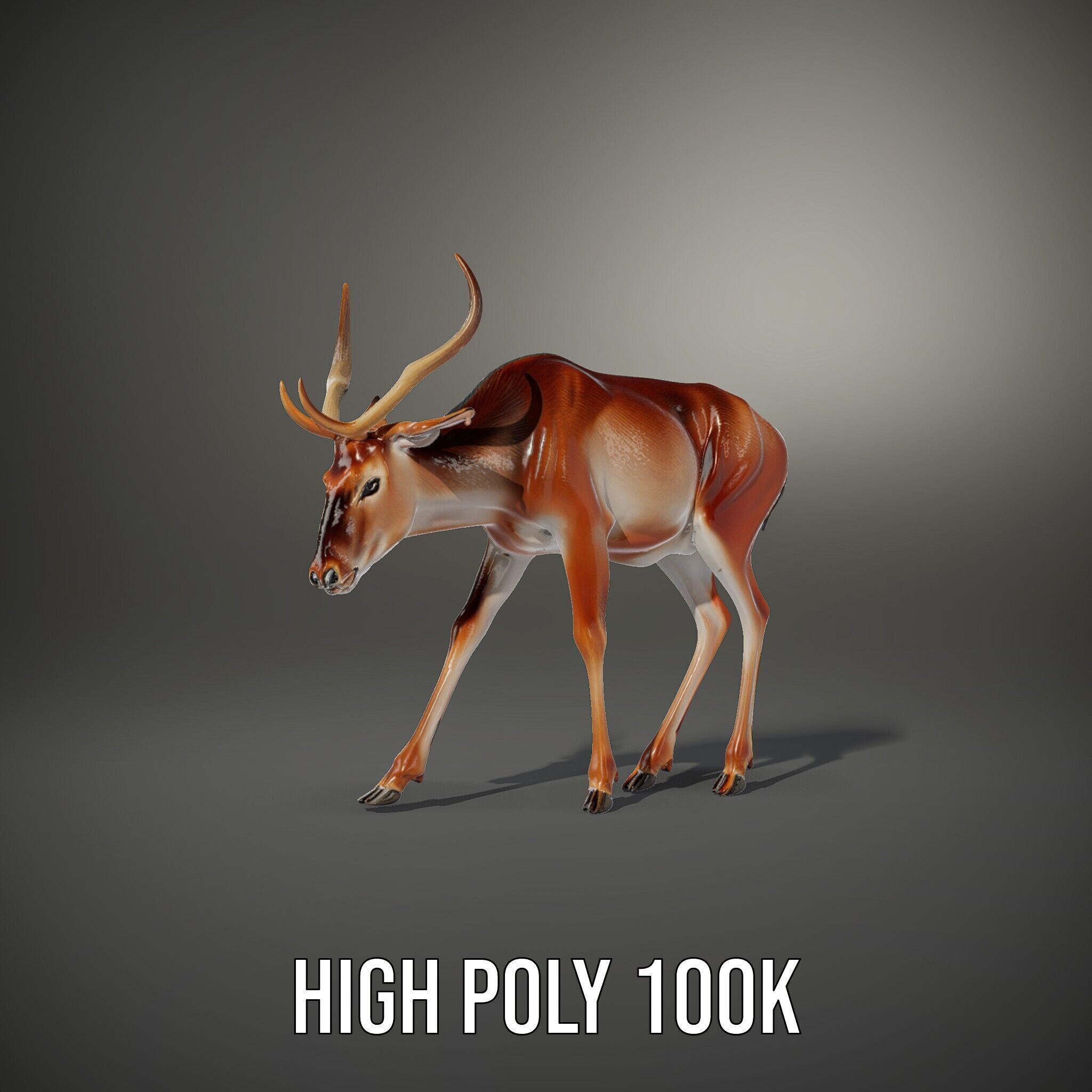 Elegant Buck Model Pack for Realistic Wildlife Scenes Low-poly 3D model_11